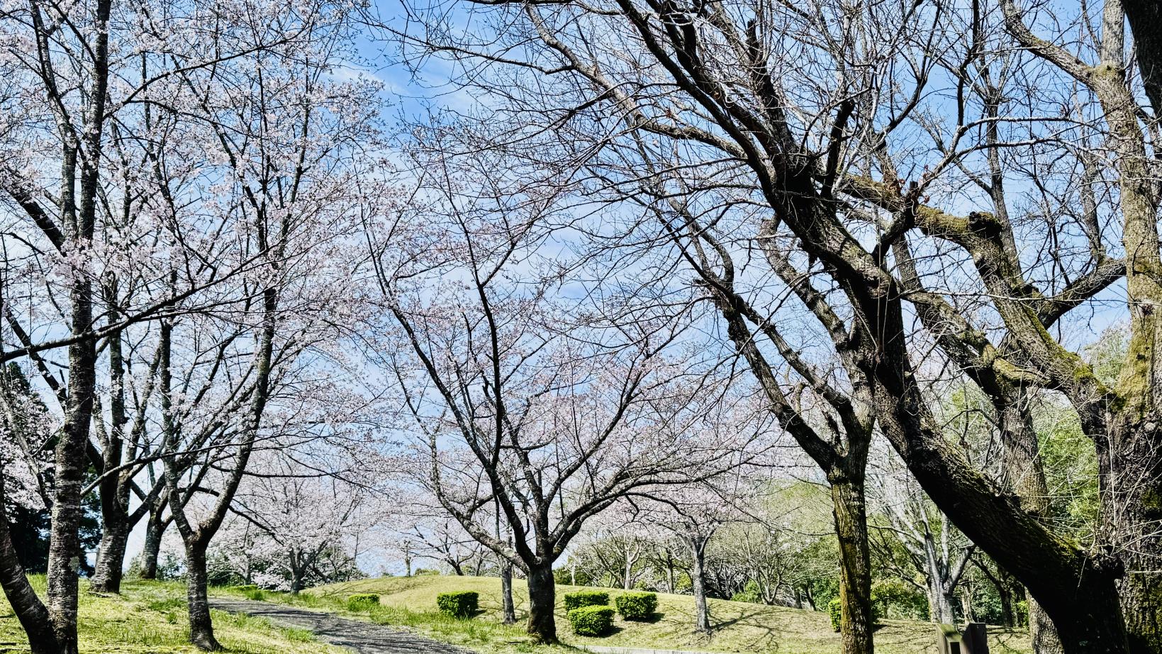 鹿児島県立大隅広域公園-0