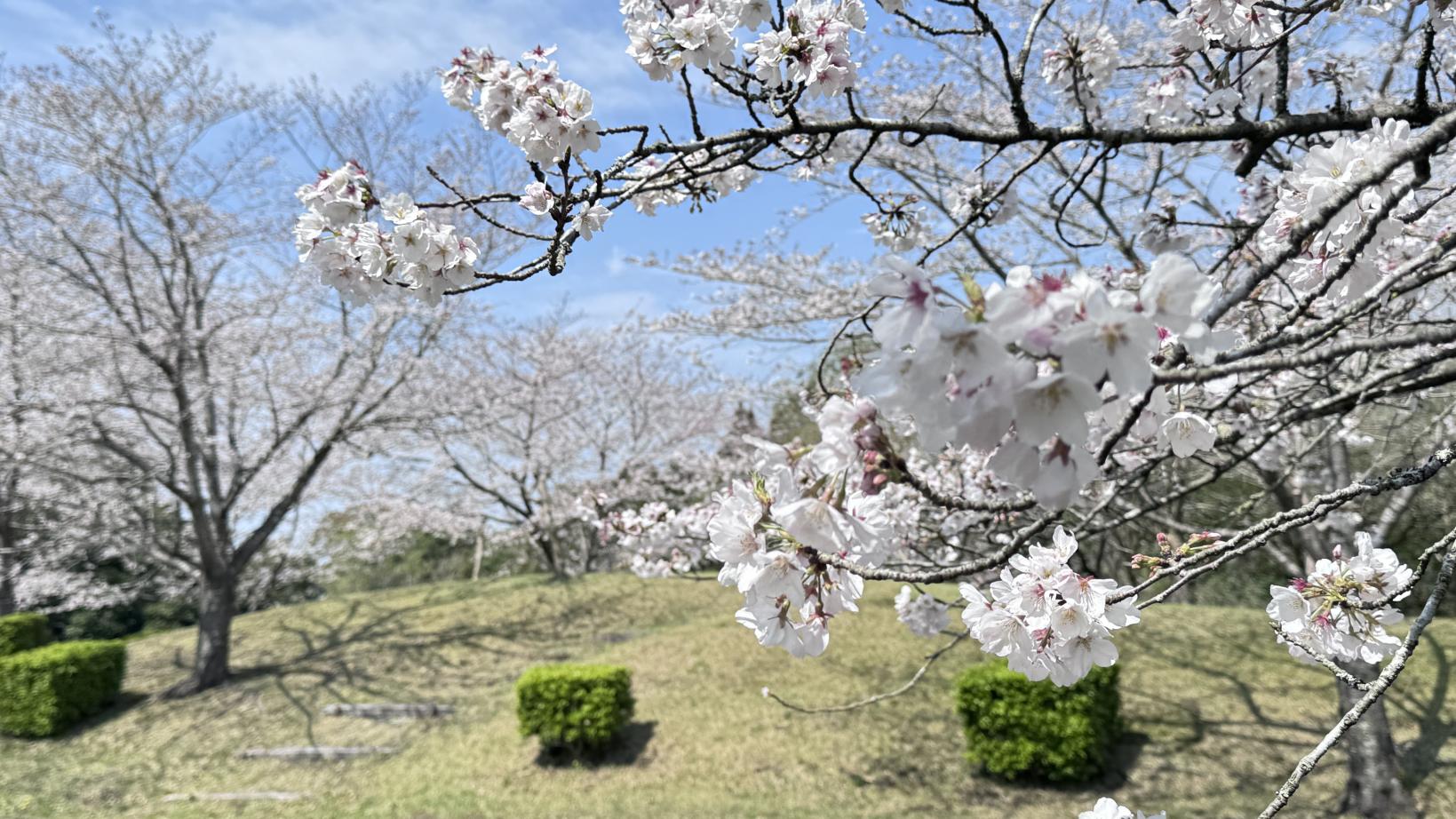 鹿児島県立大隅広域公園-6