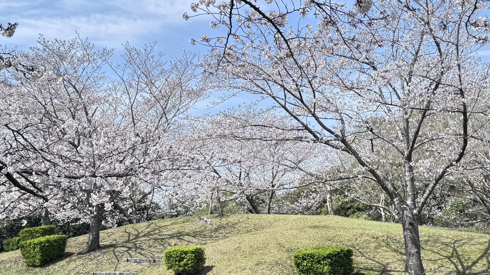 鹿児島県立大隅広域公園-3