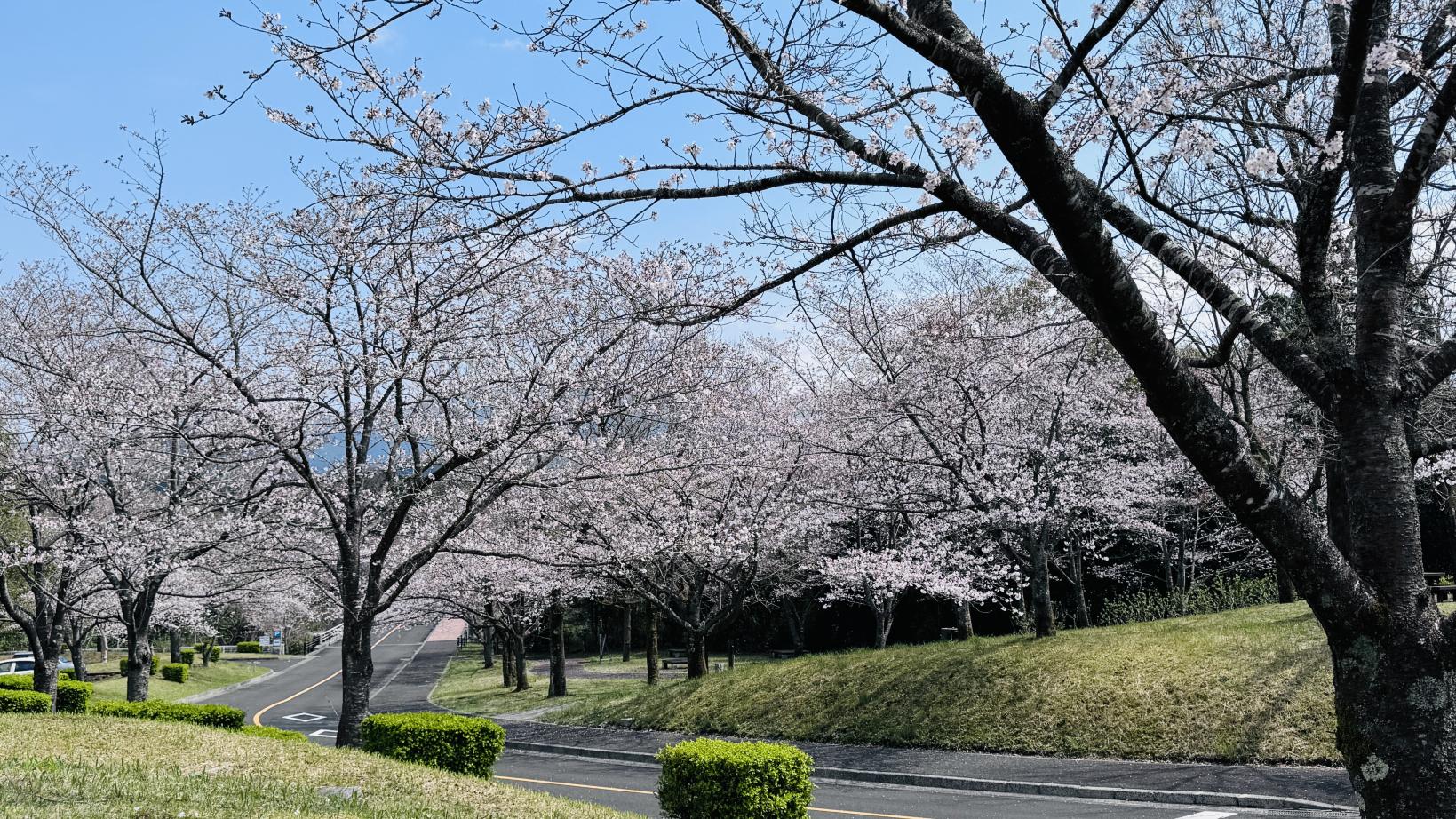鹿児島県立大隅広域公園-1