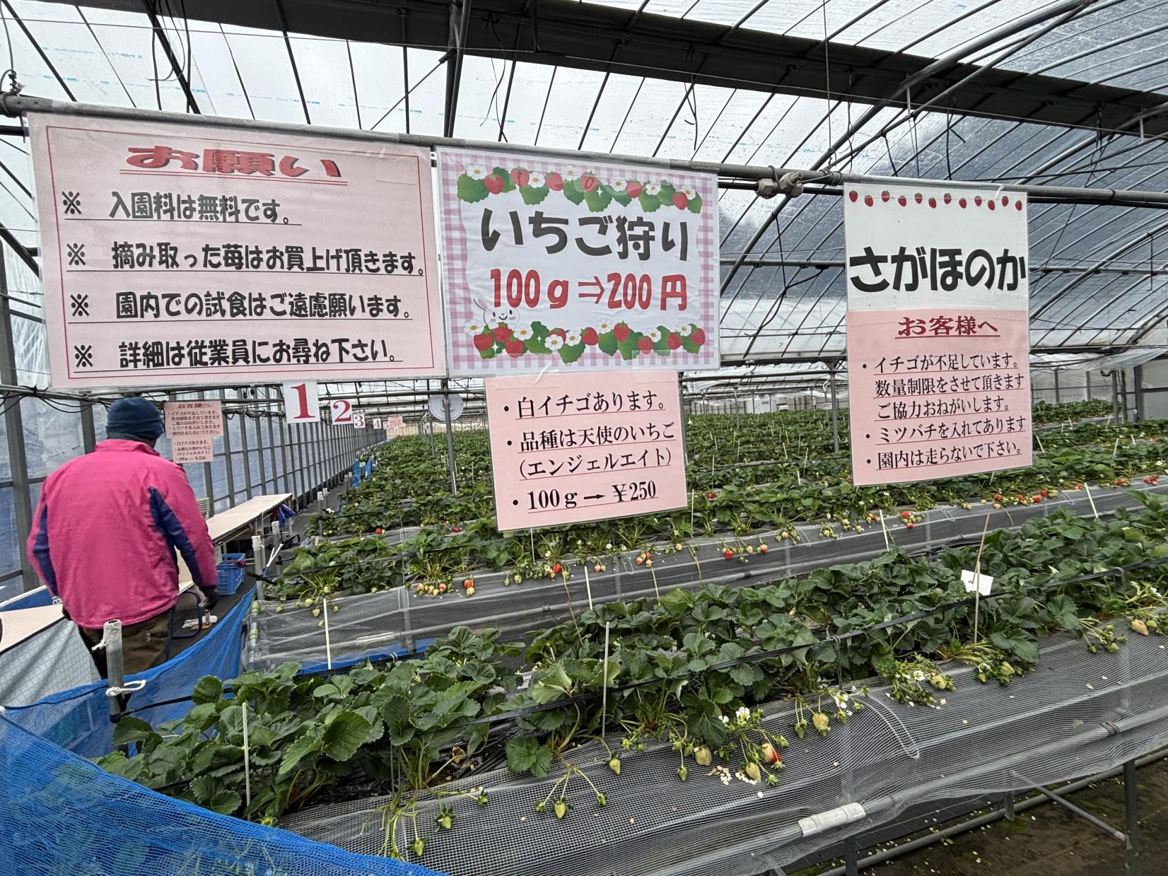 チェスト館（日置市）-2