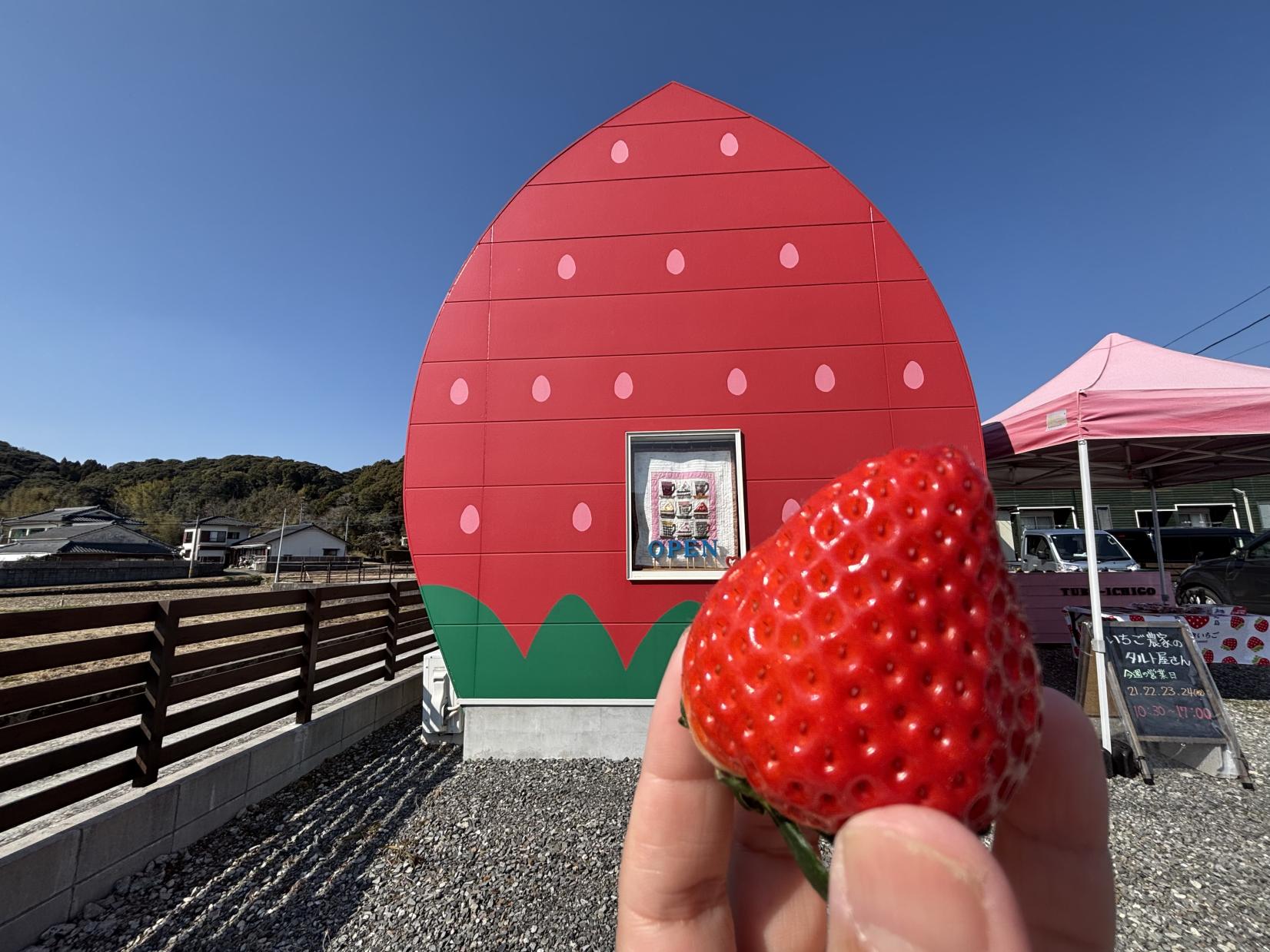 鹿児島のいちご狩りスポット！食べ放題やいちごスイーツも紹介-6