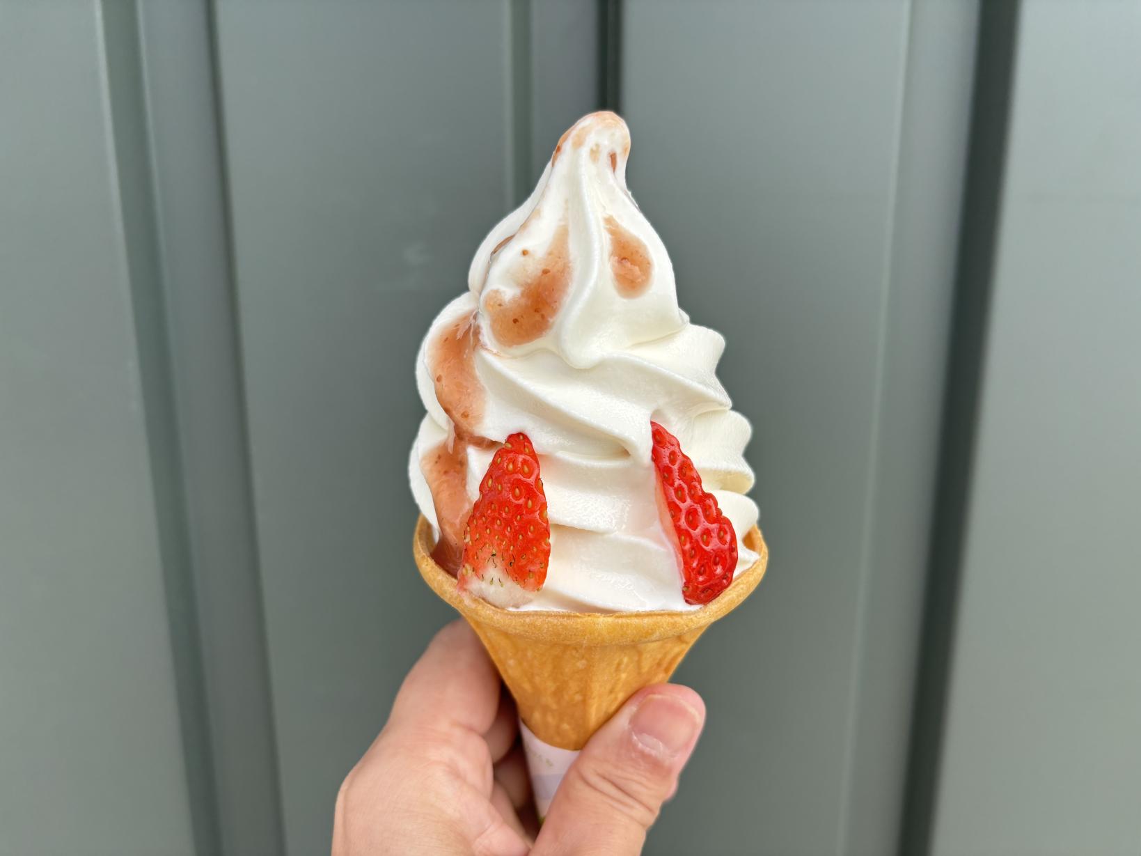 鹿児島のいちご狩りスポット！食べ放題やいちごスイーツも紹介-4