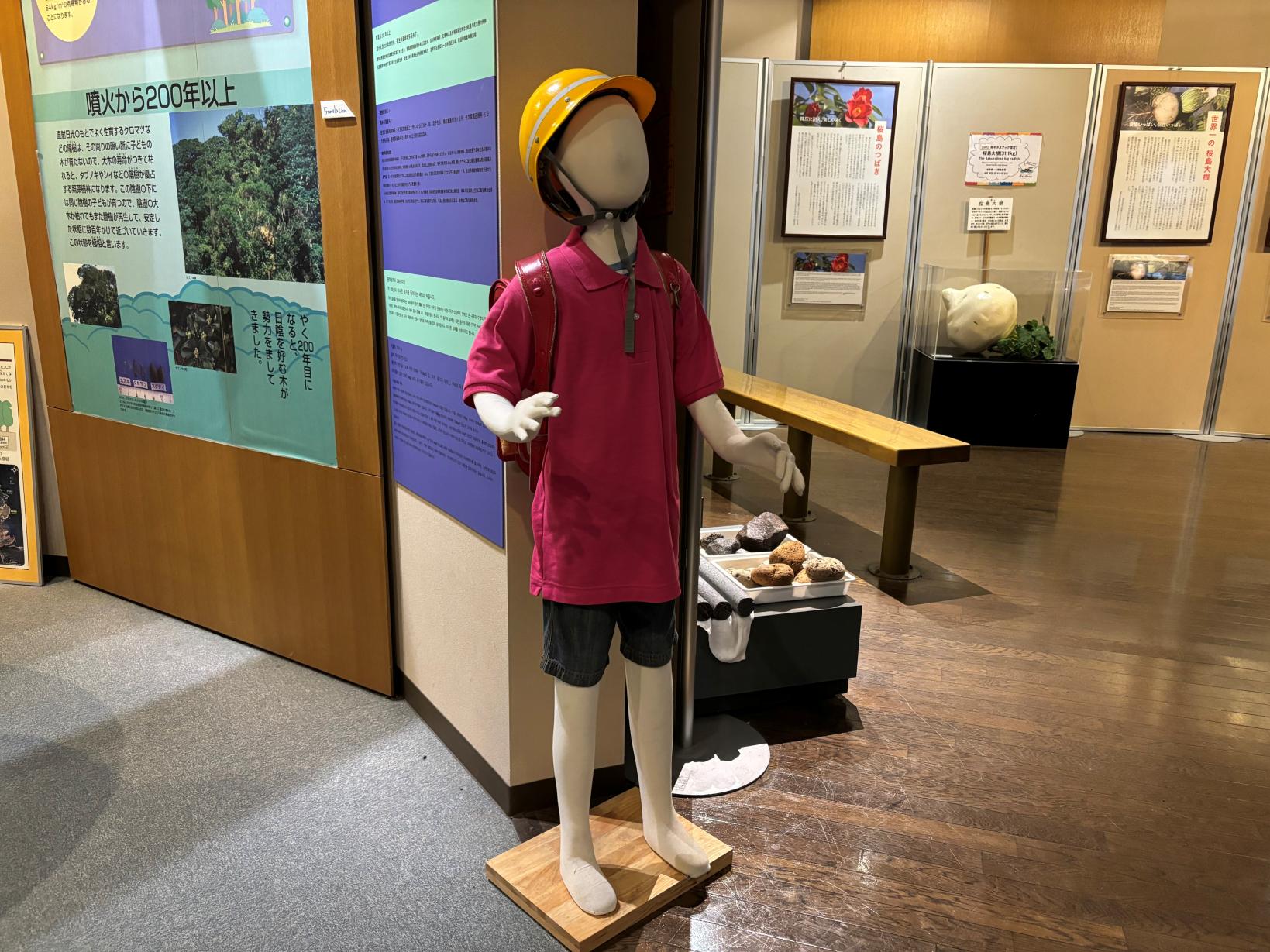 与活火山共生-2