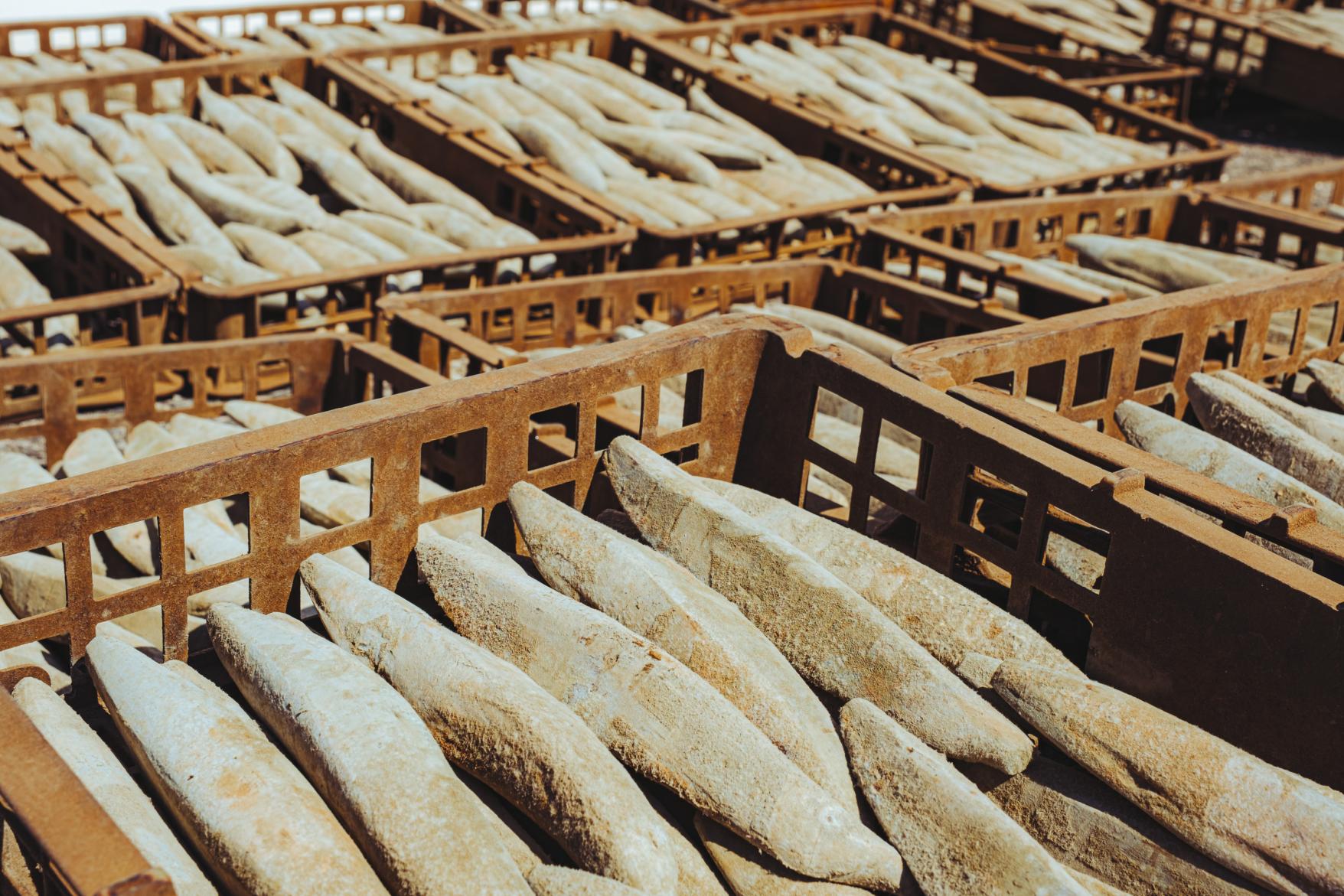 枕崎おだし本舗　かつ市（枕崎市）-2