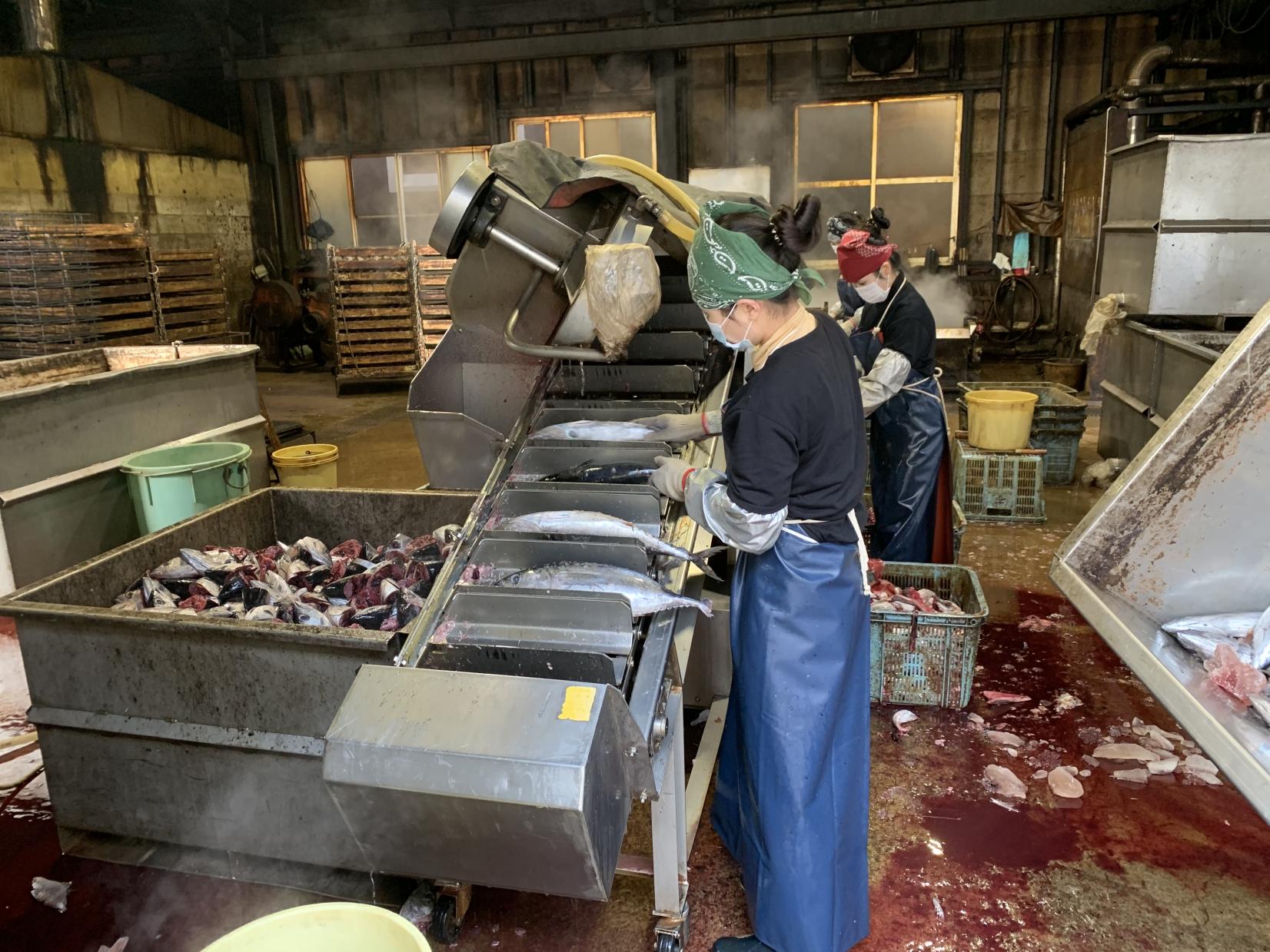 鰹節製造工程見学＆茶ぶし手作り体験付き（指宿市）-2