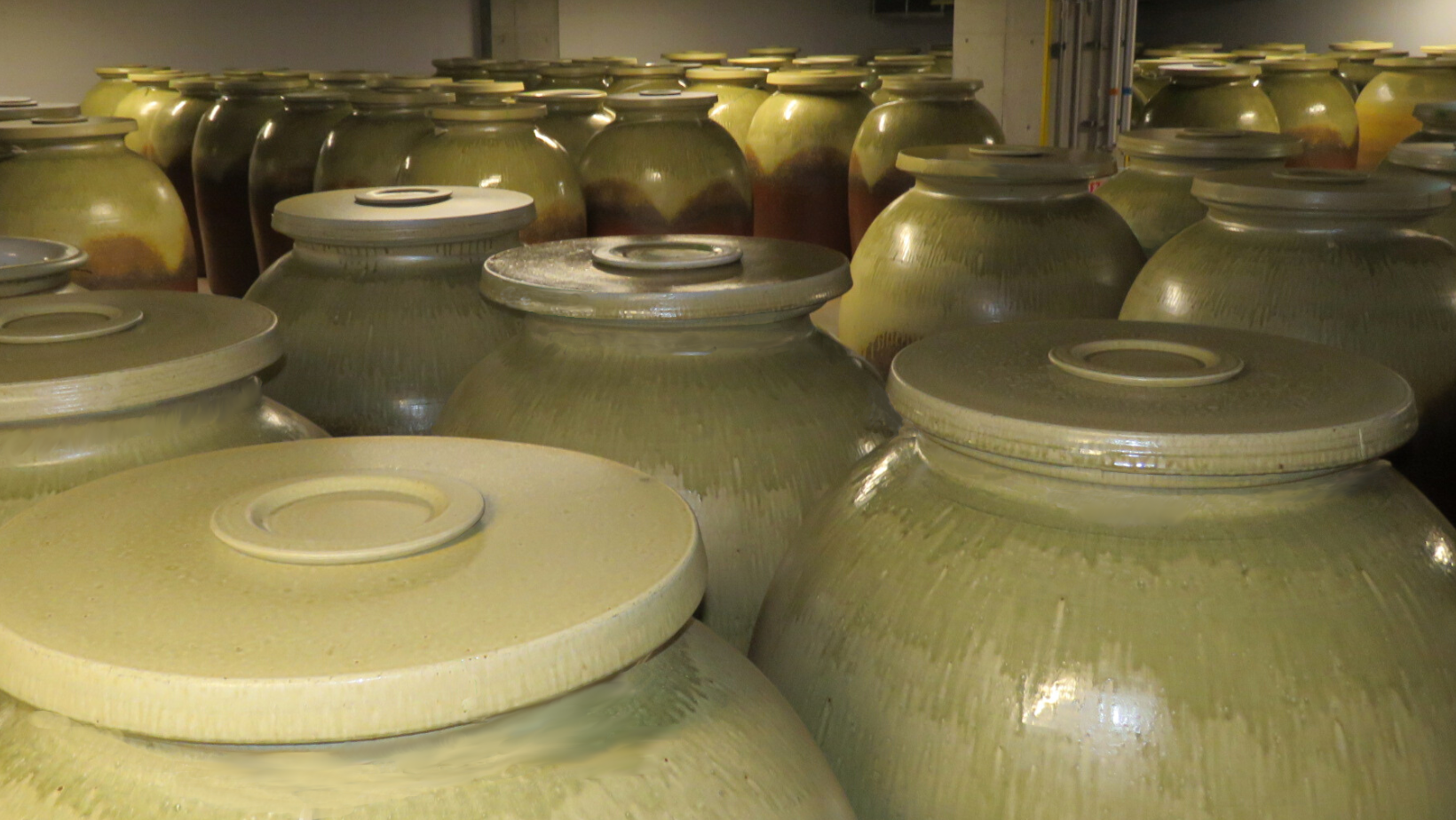 出水酒造株式会社（出水市）-3