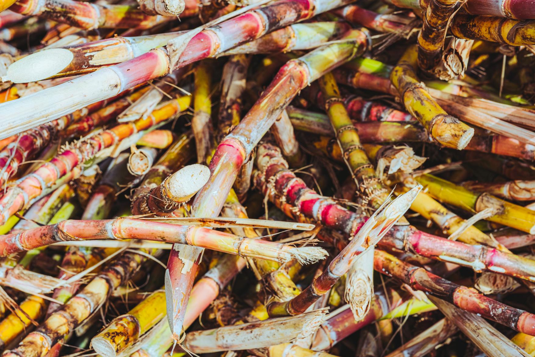 水間黒糖製造工場（奄美大島・龍郷町）-3