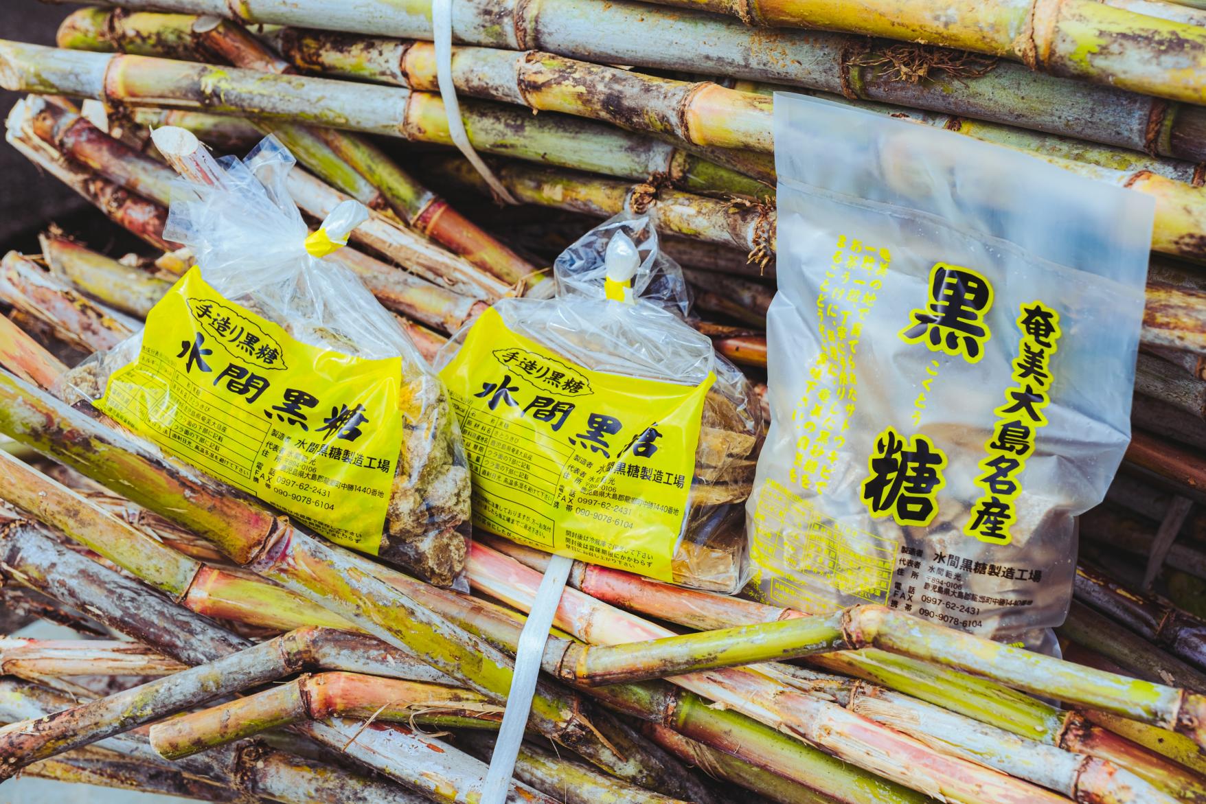 水間黒糖製造工場（奄美大島・龍郷町）-5