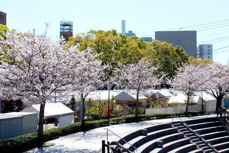 ホテルの近くで開催されるイベント-1