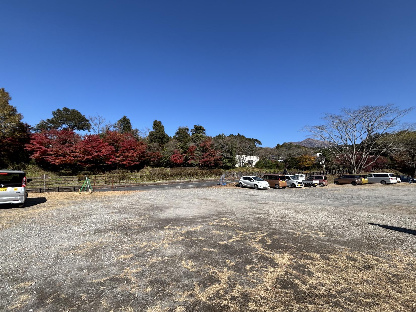 国道223号線沿い（霧島神宮周辺）-5