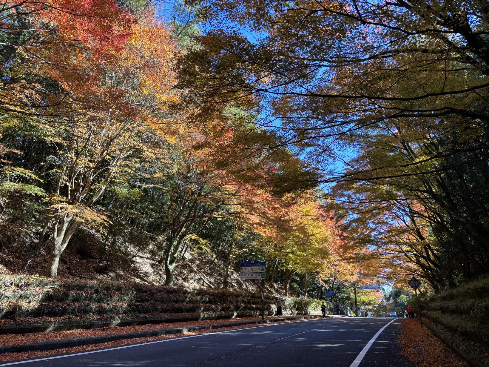 国道223号線沿い（霧島神宮周辺）-3