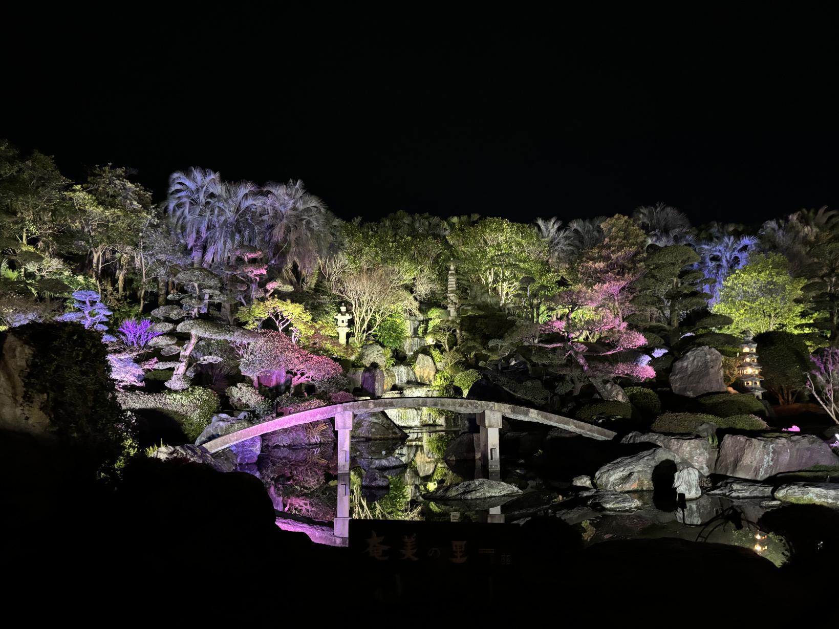 奄美の里ナイトガーデン 2025-0