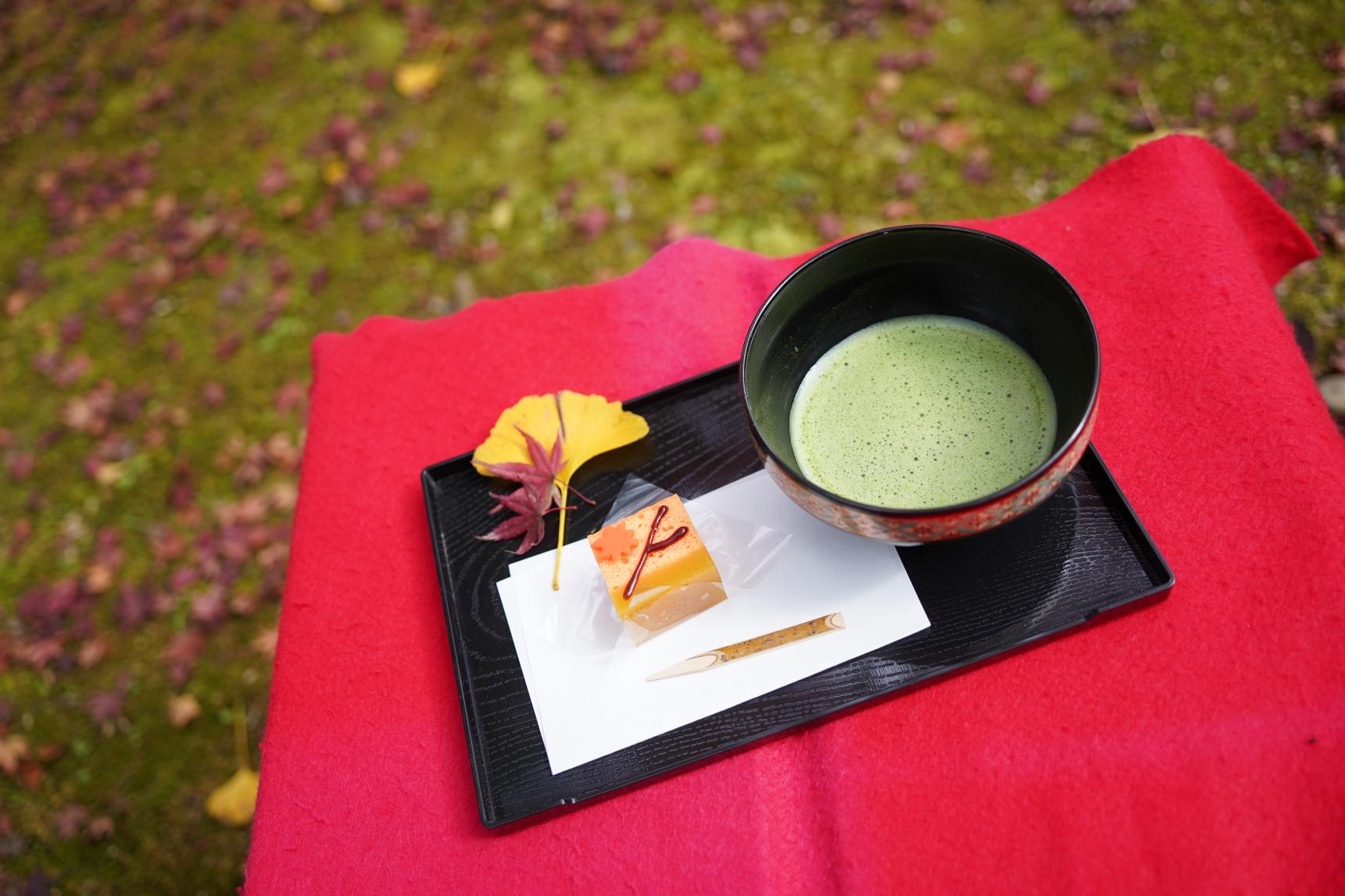 吾平山上陵の四季を楽しむお茶会-1