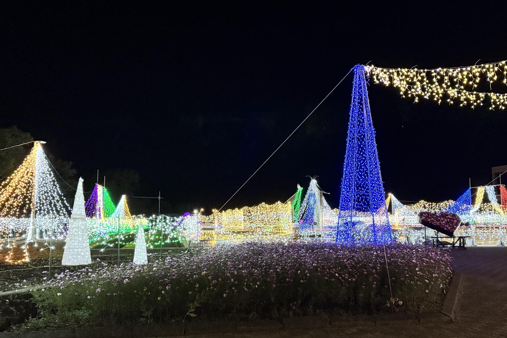 クリスマスファンタジーナイト2025in霧島ケ丘公園-2