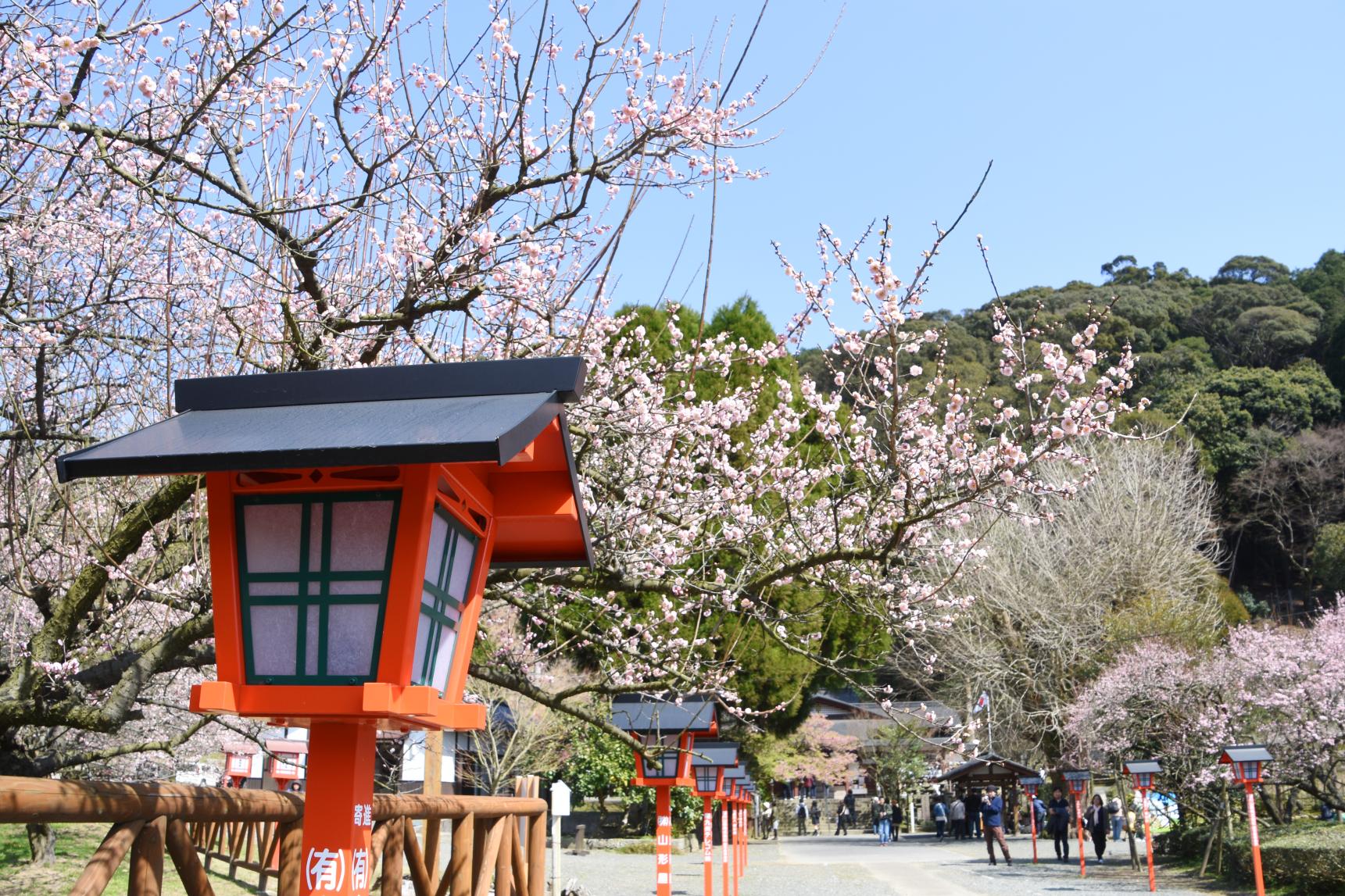 藤川天神（薩摩川内市）-0