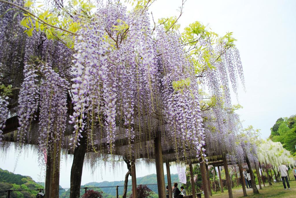 和気神社・和気公園（霧島市）-2