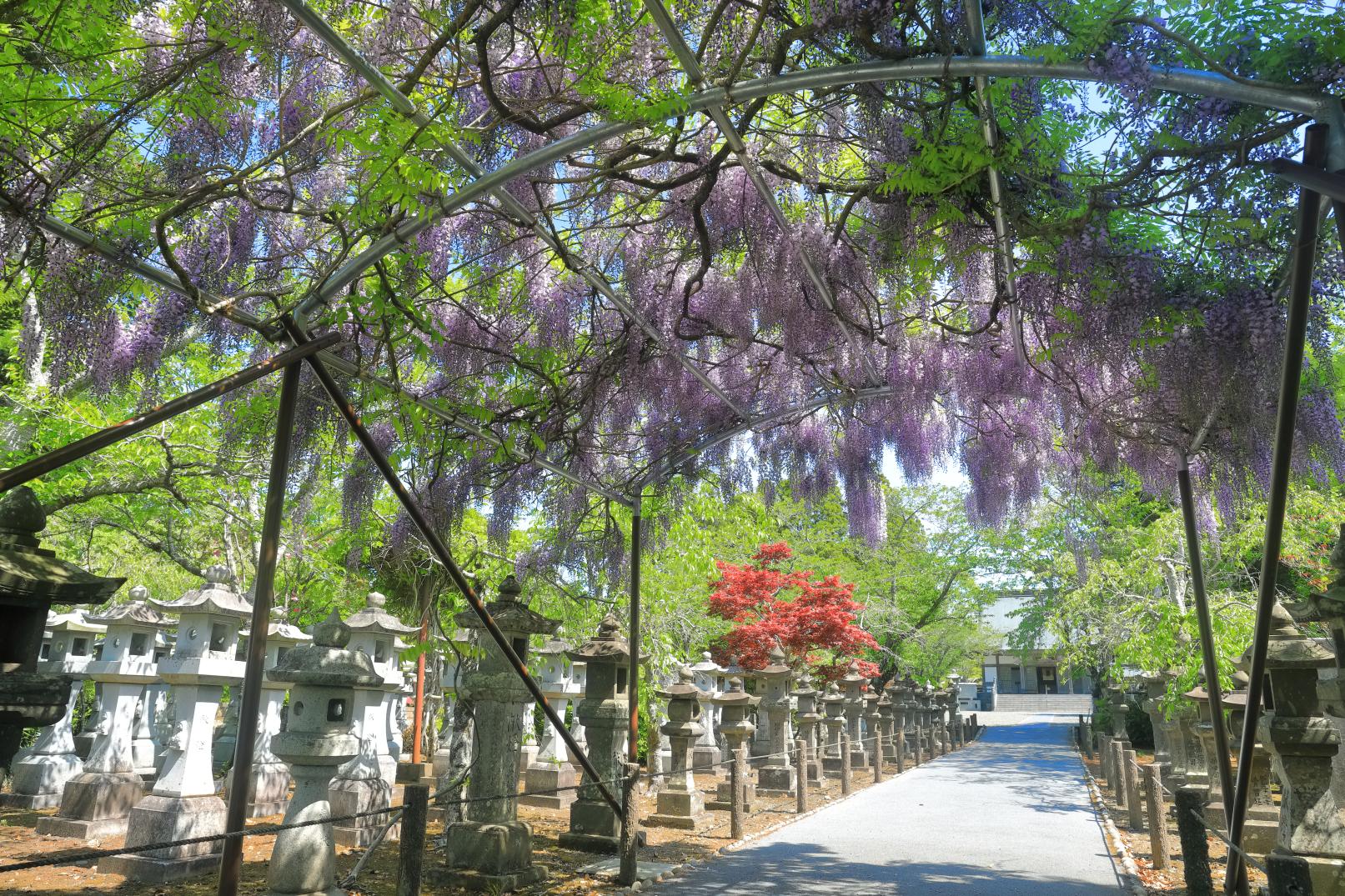 知覧平和公園（南九州市）-0
