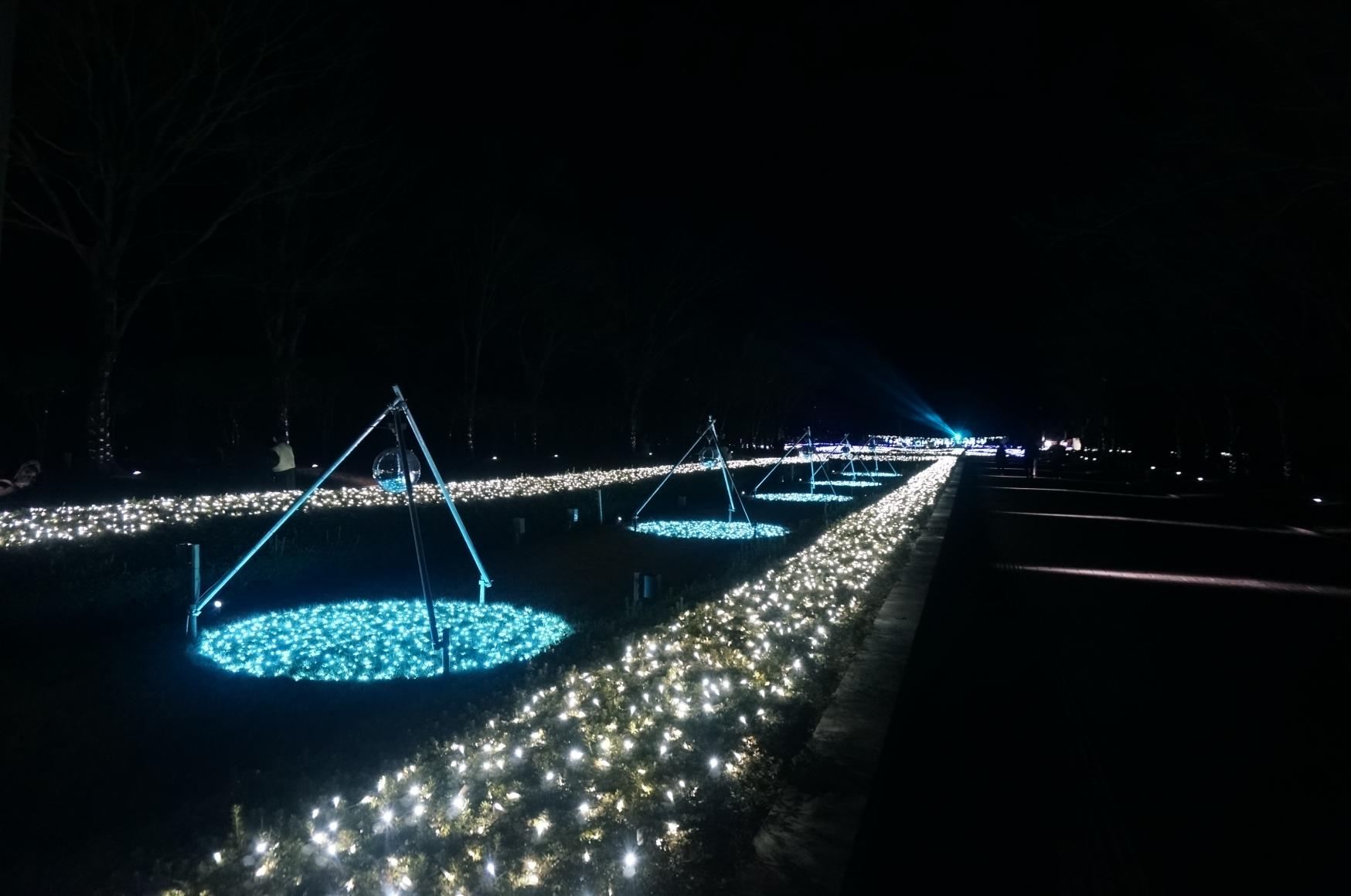 見どころ①イルミネーション-2