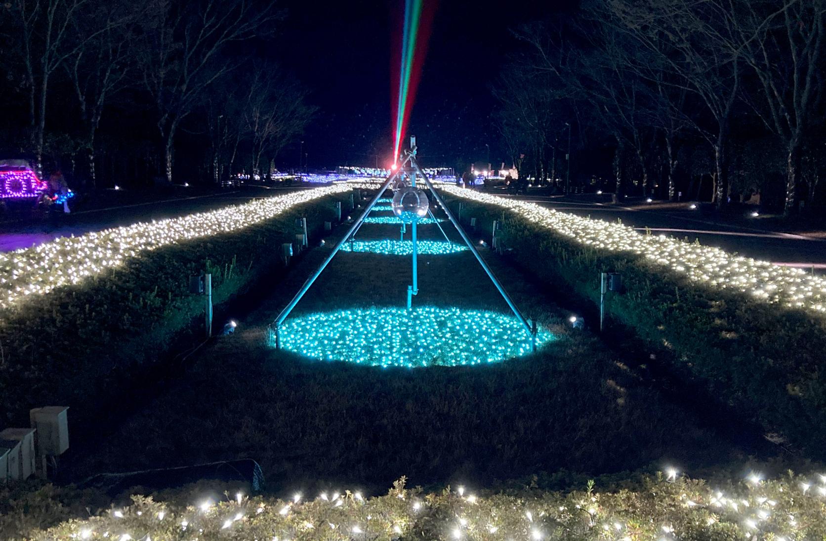 見どころ①イルミネーション-1