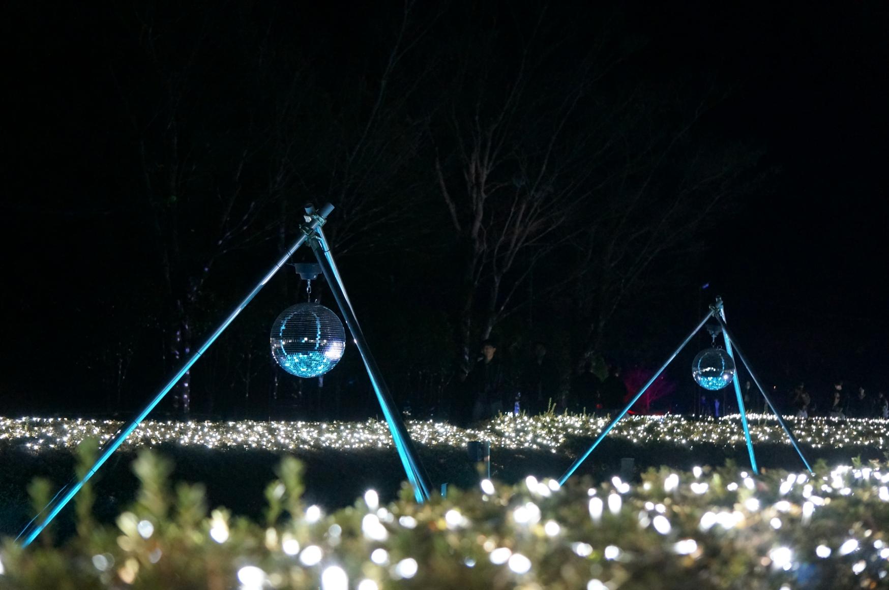 見どころ①イルミネーション-3