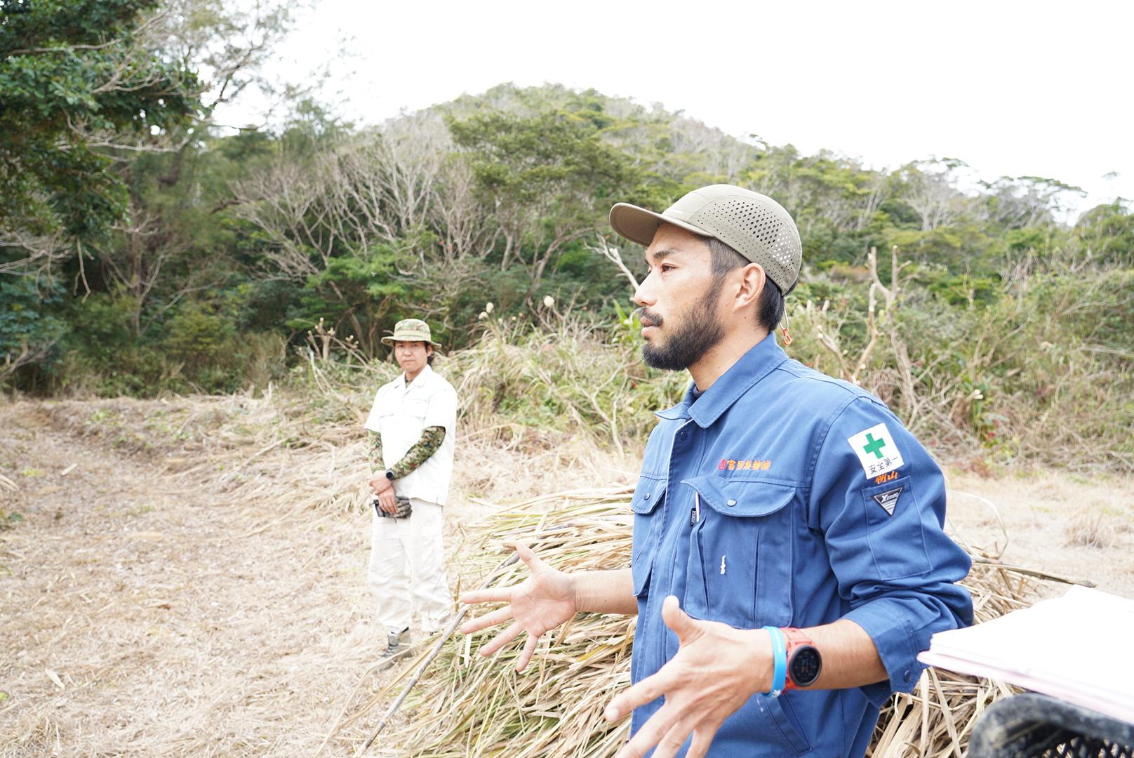 はじめてのサトウキビ収穫と植え付け　-0