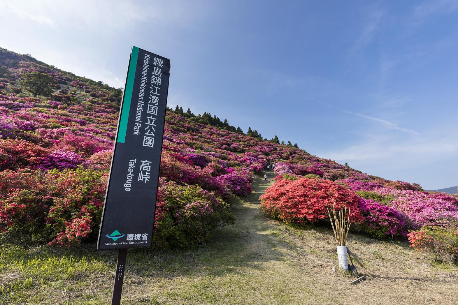 高峠つつじヶ丘公園（垂水市）-0