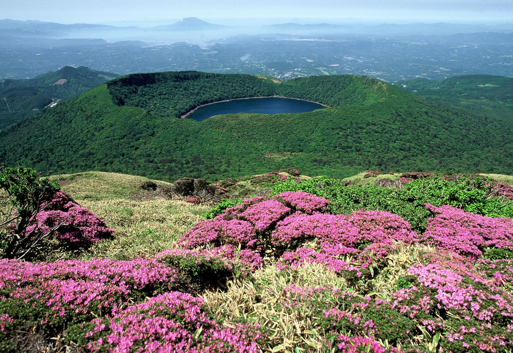 霧島山のミヤマキリシマ（鹿児島県霧島市・宮崎県えびの市）-4