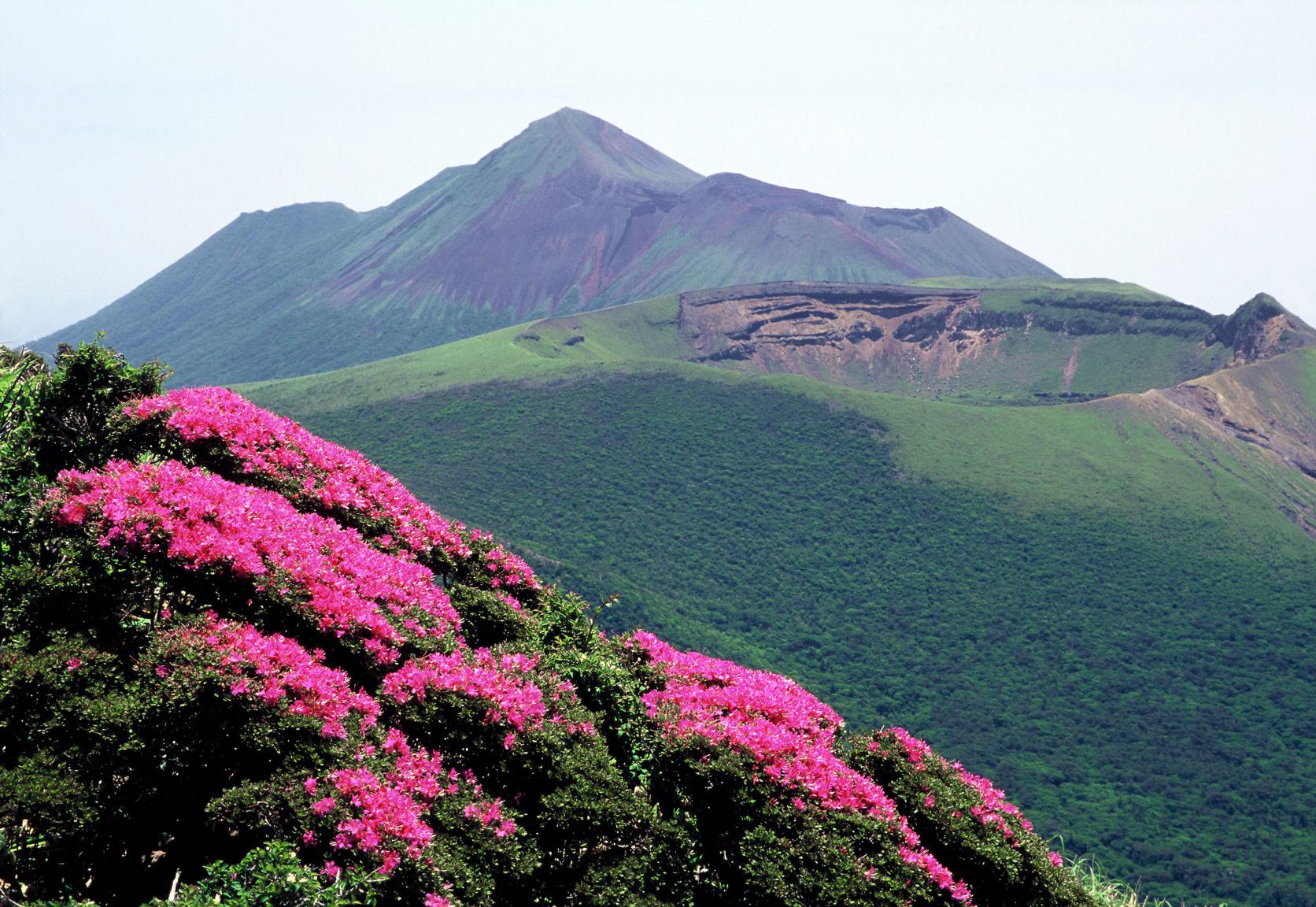 霧島山のミヤマキリシマ（鹿児島県霧島市・宮崎県えびの市）-5