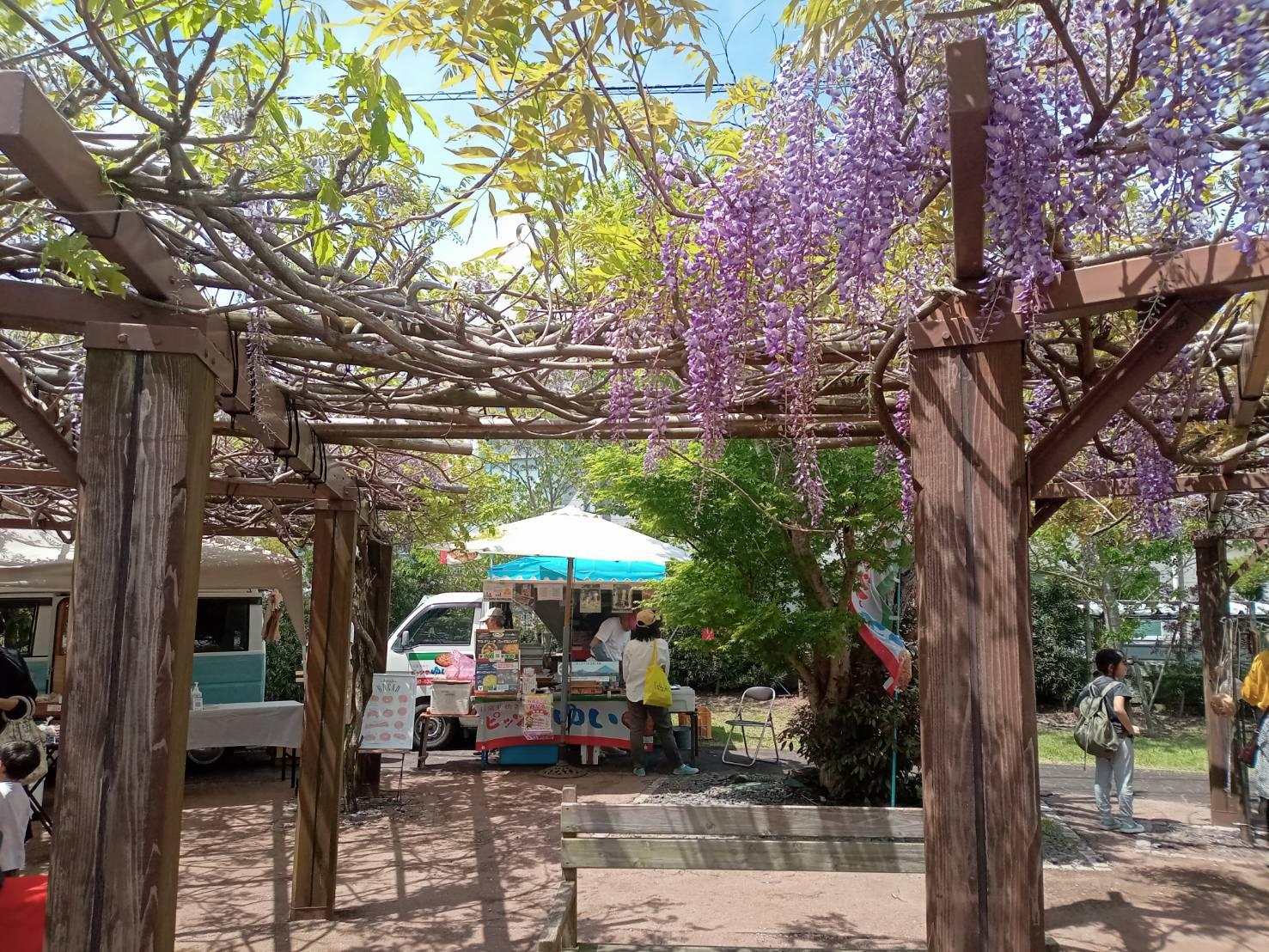 知覧武家屋敷庭園群（南九州市）-0