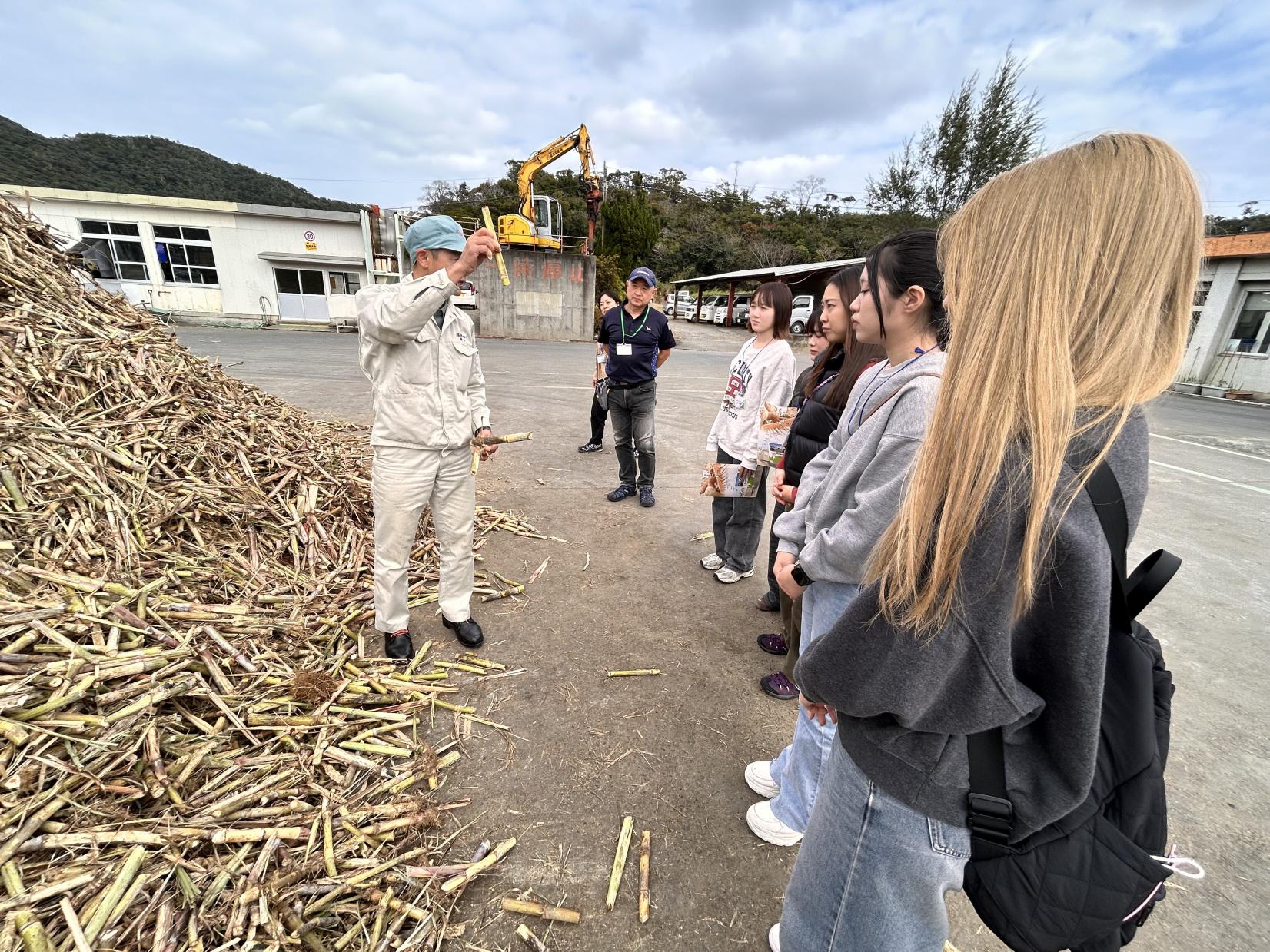 富国精糖の工場でお砂糖ができるプロセスを学びます。-0