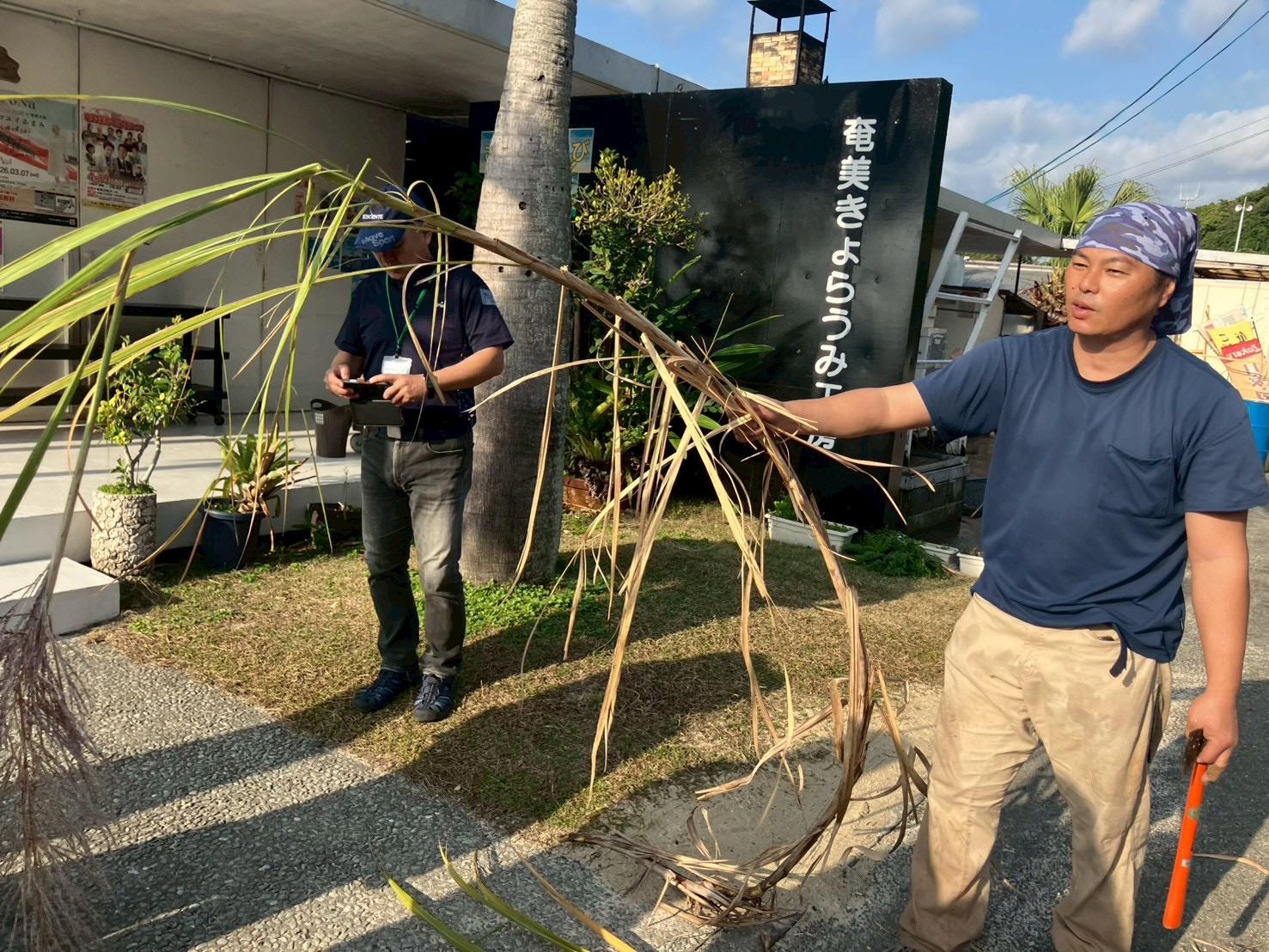 奄美大島の黒糖づくり　　ー登録無形民俗文化財ー-0
