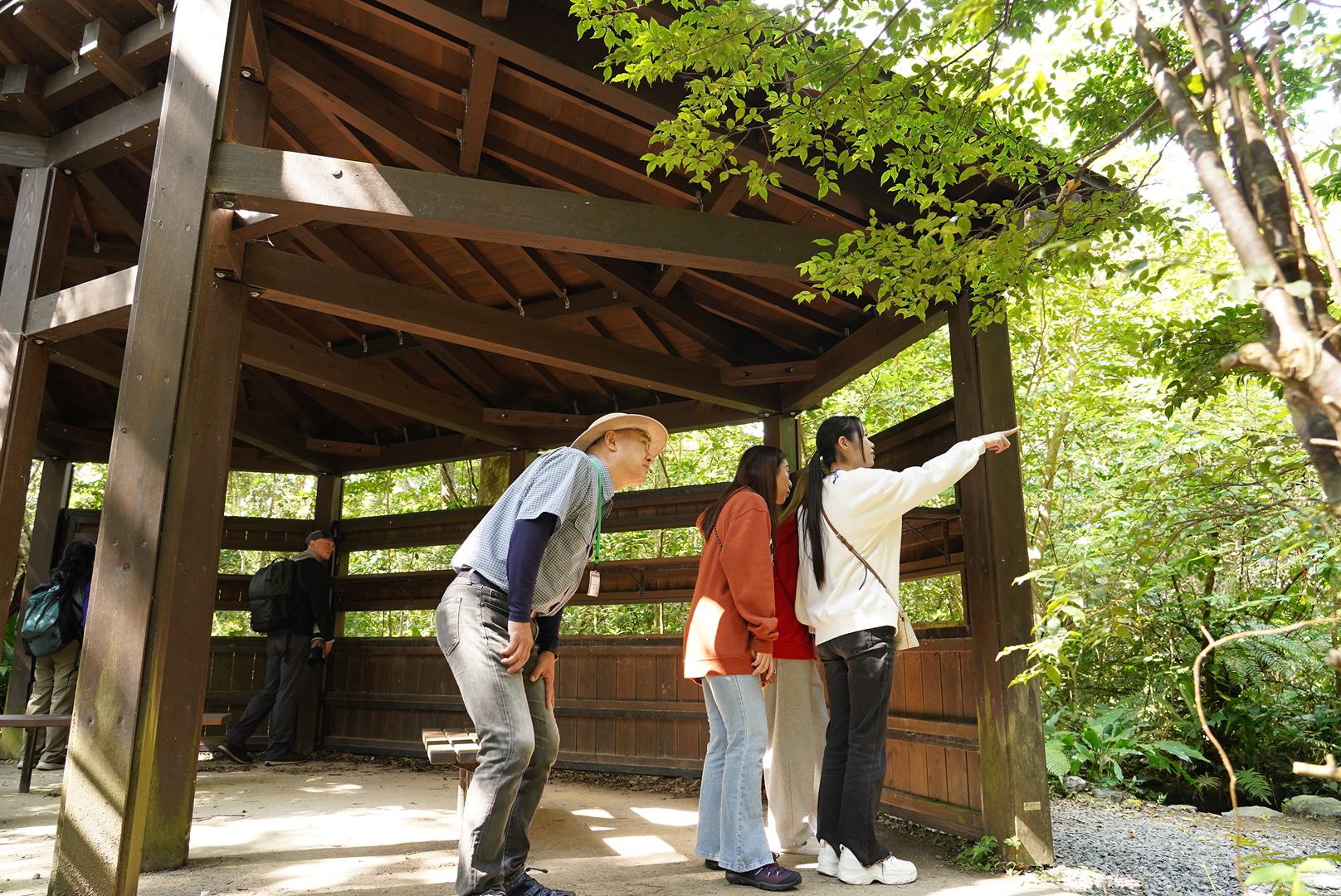 亜熱帯性気候の生態系を観察　　ネイチャーガイドとのガイドウォーク-2