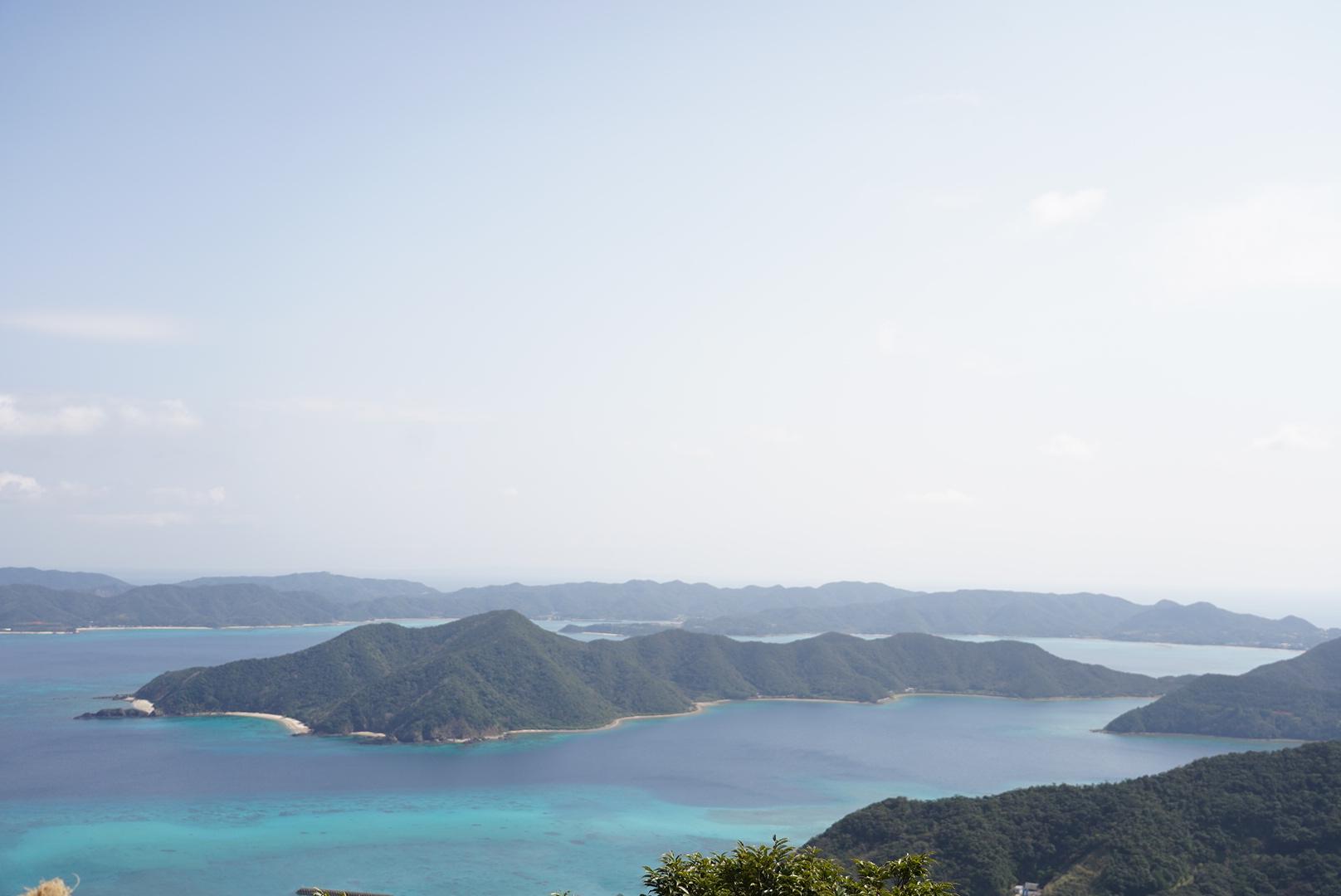 亜熱帯性気候の生態系を観察　　ネイチャーガイドとのガイドウォーク-5