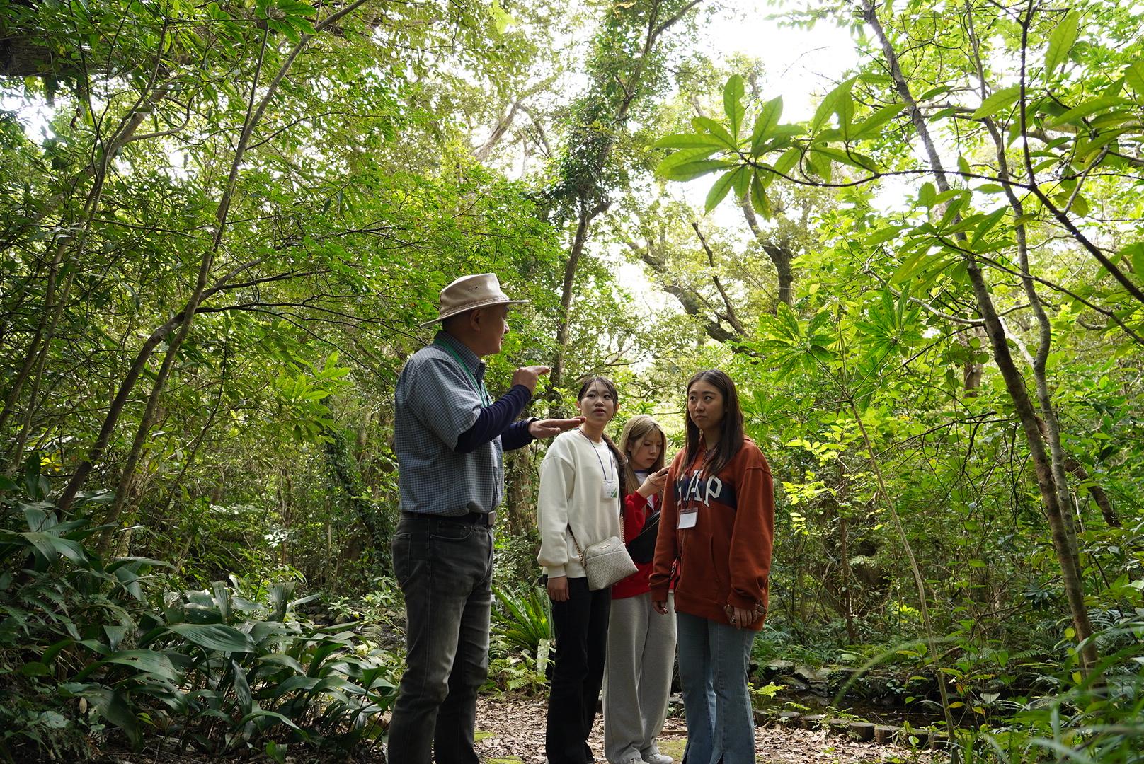 亜熱帯性気候の生態系を観察　　ネイチャーガイドとのガイドウォーク-1