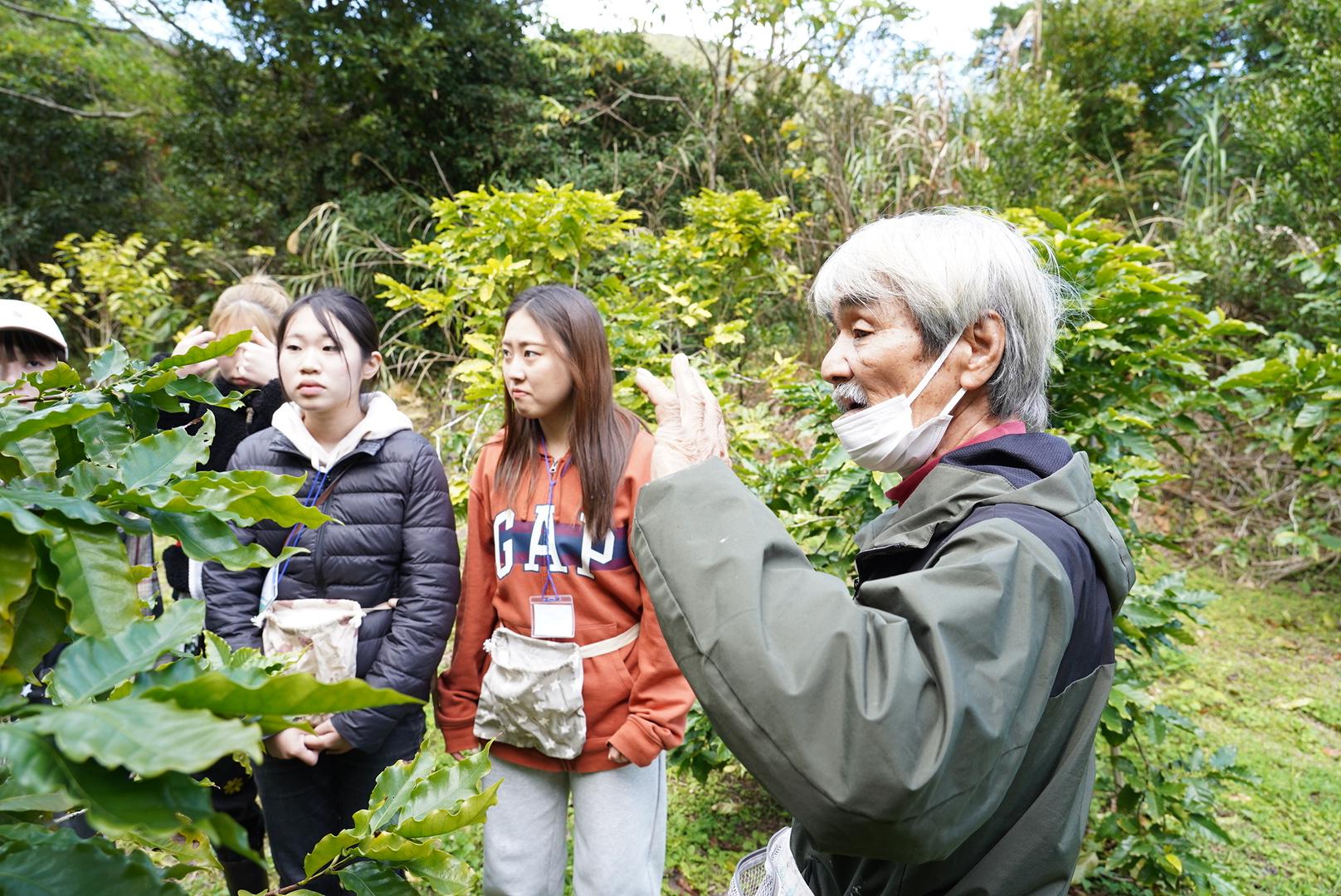 希少価値が高いな国産コーヒーを栽培される龍郷珈琲園へ　-3