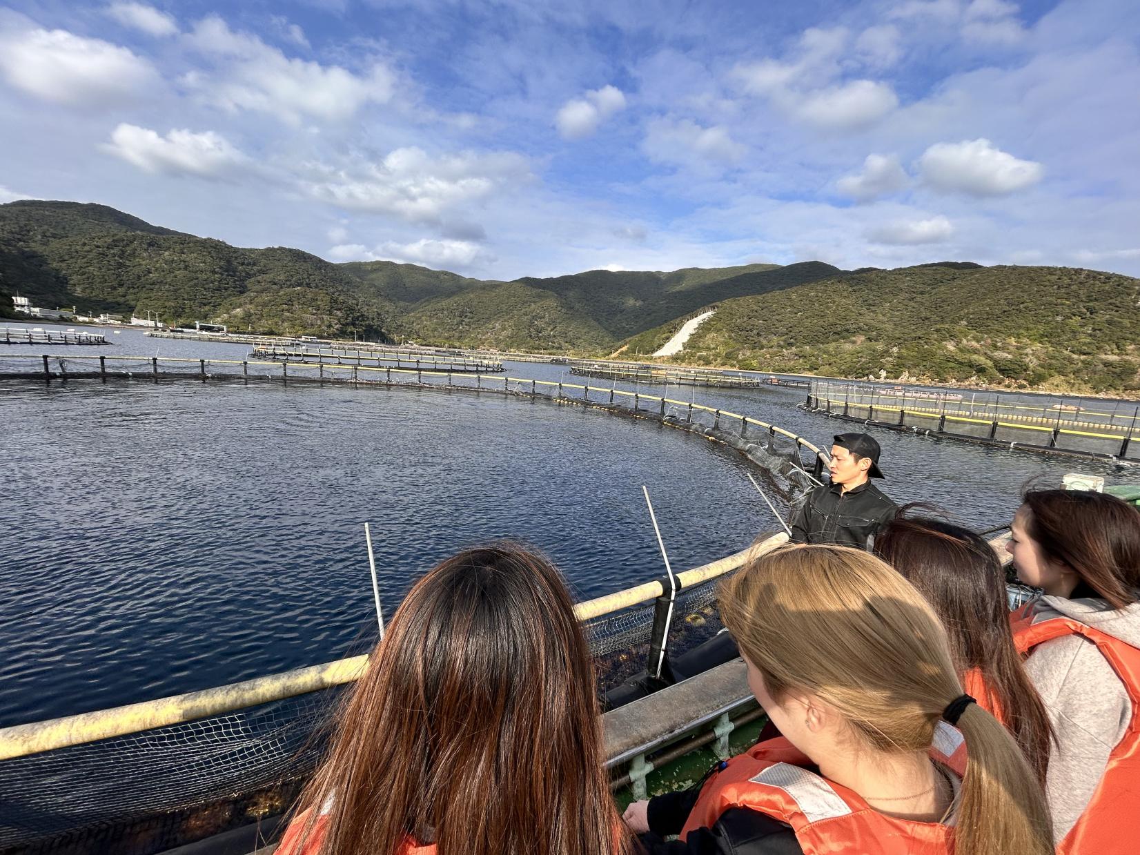 瀬戸内町でクロマグロの養殖を観察　　近畿大学水産研究所奄美実験場に学びます-3