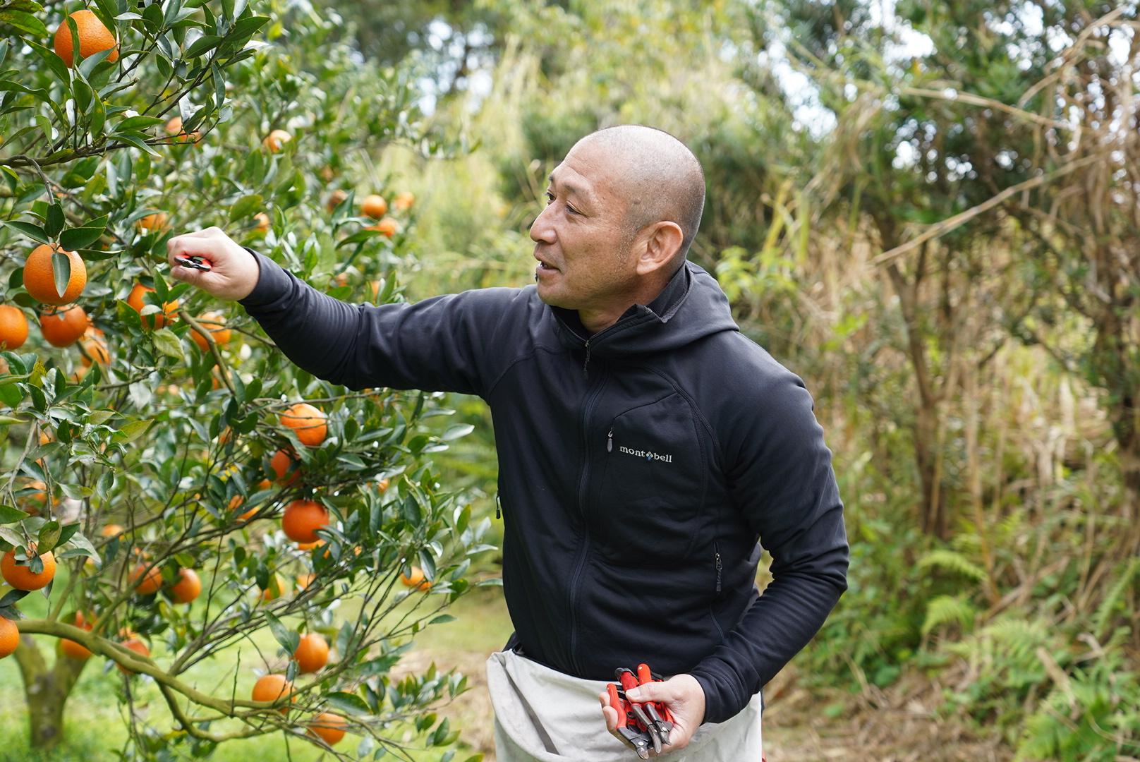 あまみん＆Tropica Amami-5