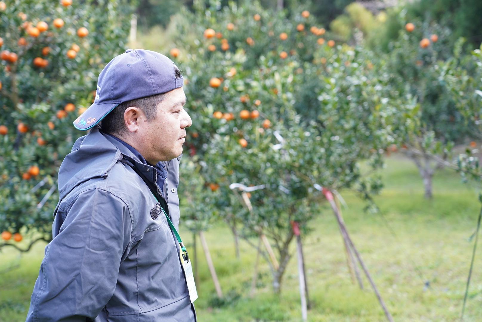 大和村フルーツ農園-6