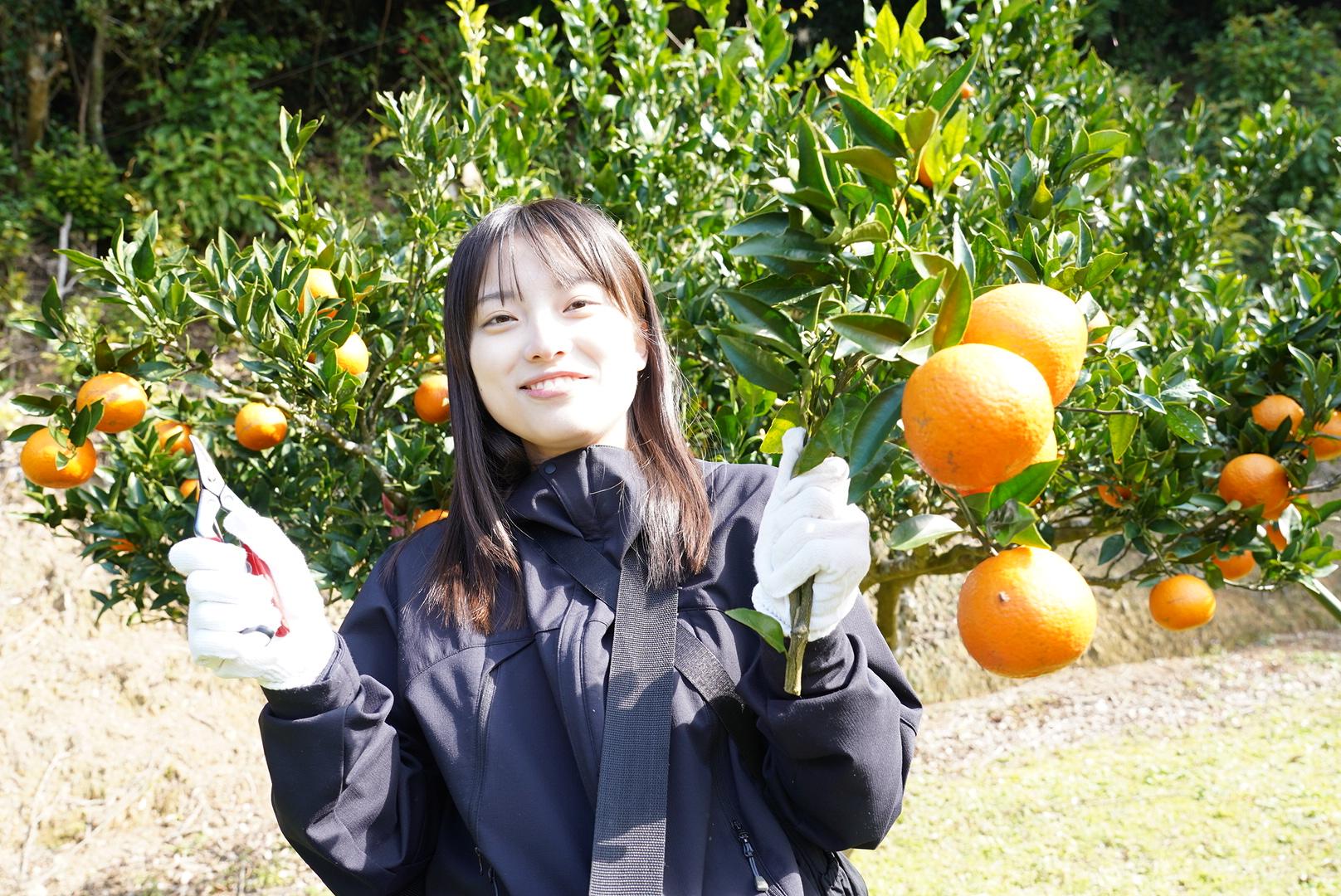 大和村フルーツ農園-1