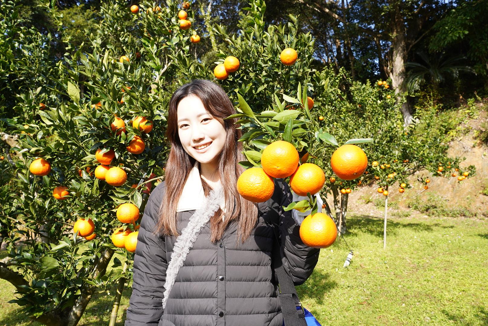 大和村フルーツ農園-0