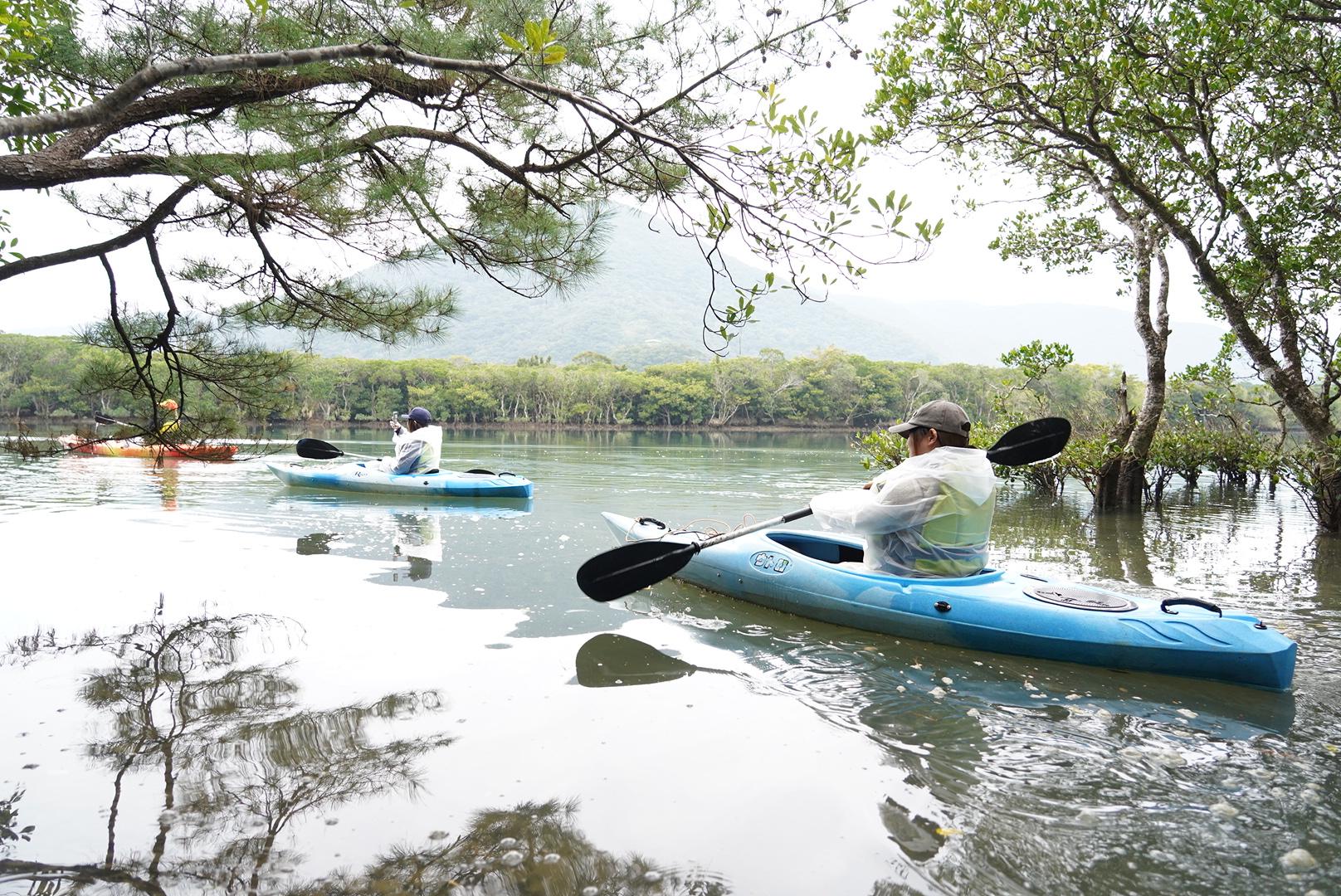 マングローブの森をカヌーで探検！-4