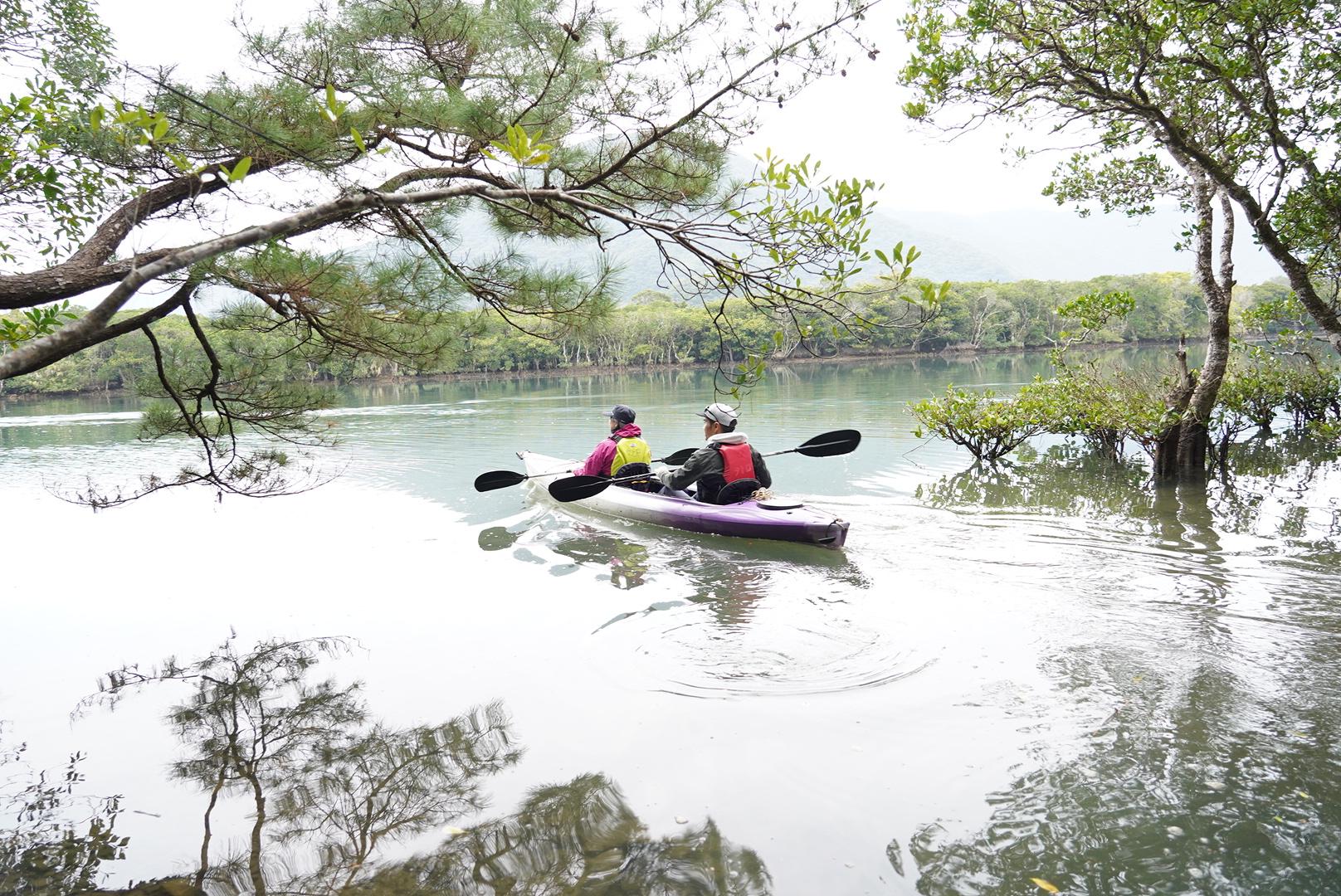 マングローブの森をカヌーで探検！-0