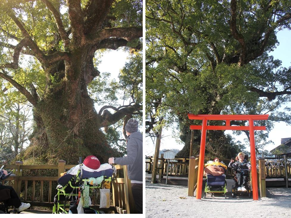 【姶良市】でっかい自然と触れ合える“仲間と巡る姶良の旅”-1