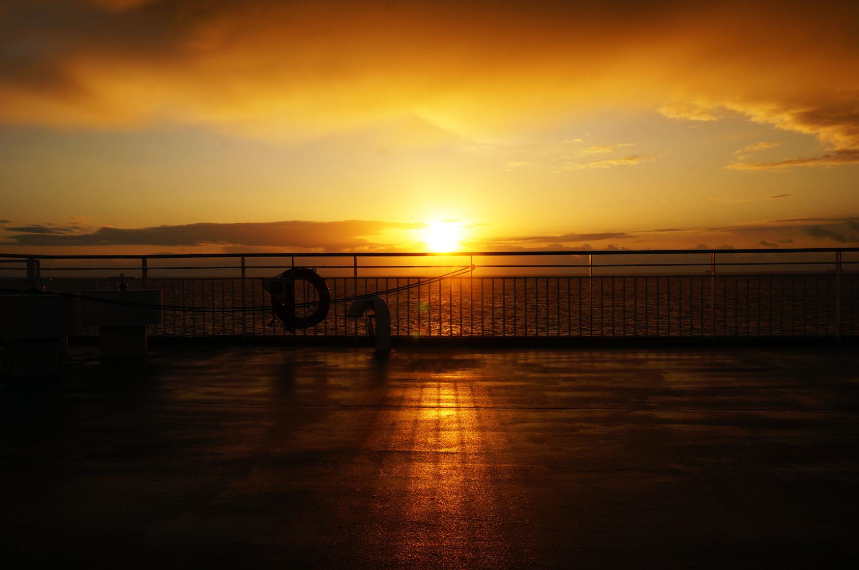 Sunflower’s onboard experience-1