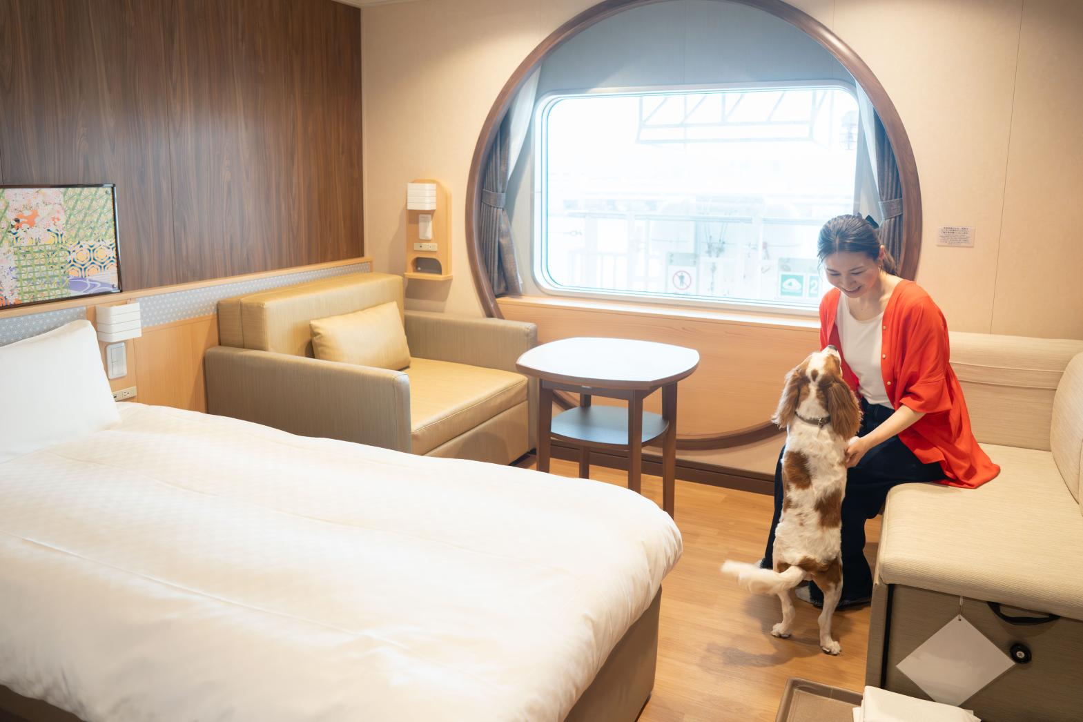 Accessibility, boarding & other services-2