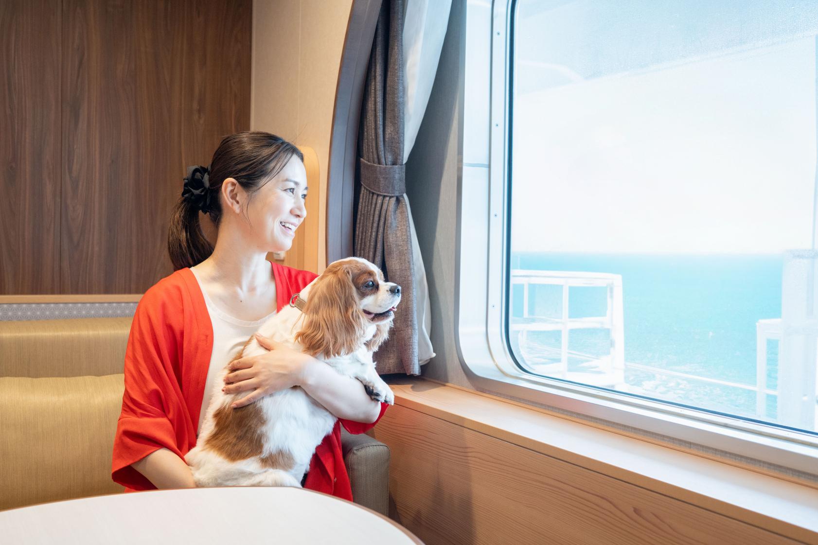 Accessibility, boarding & other services-0