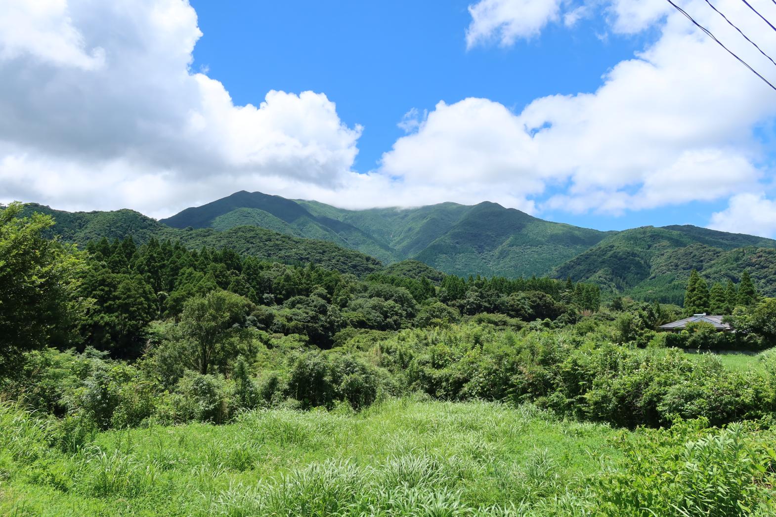 高隈山県立自然公園の楽しみ方-2
