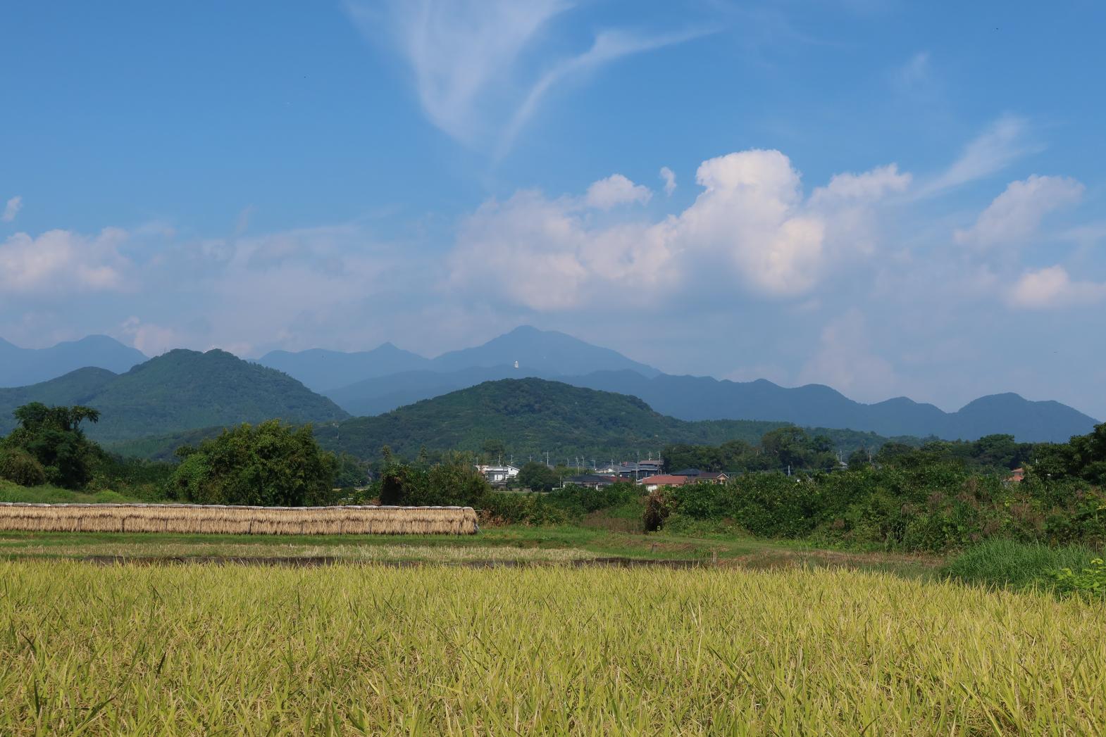高隈山県立自然公園の楽しみ方-3