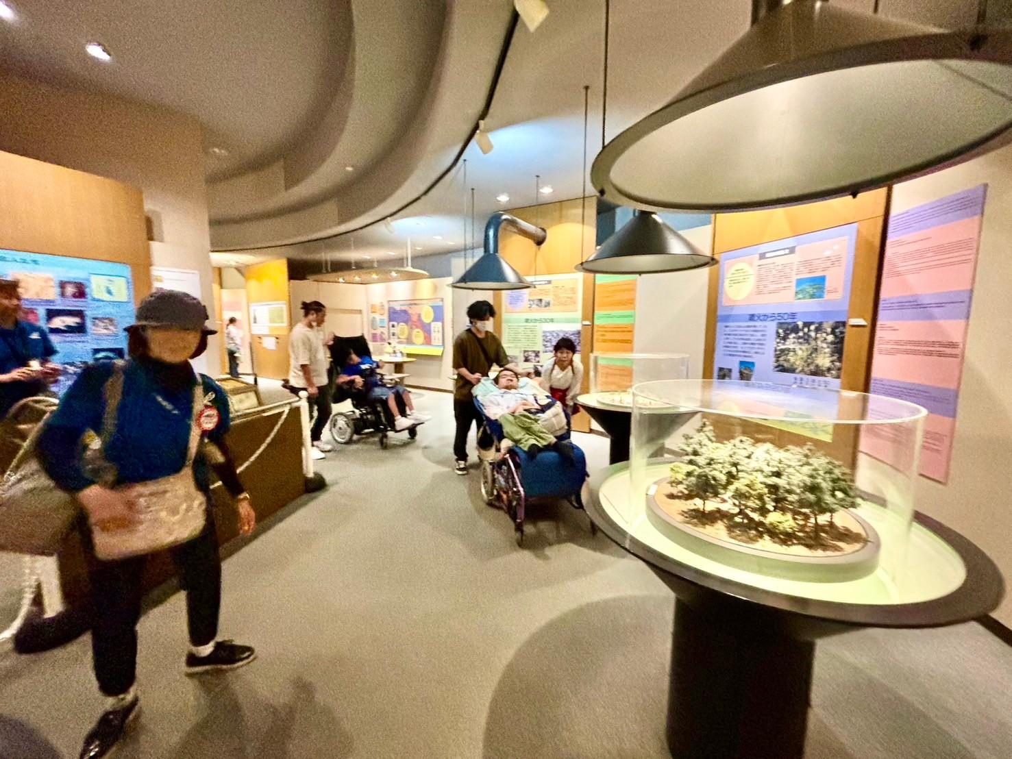 10| Sakurajima Visitor Center-1